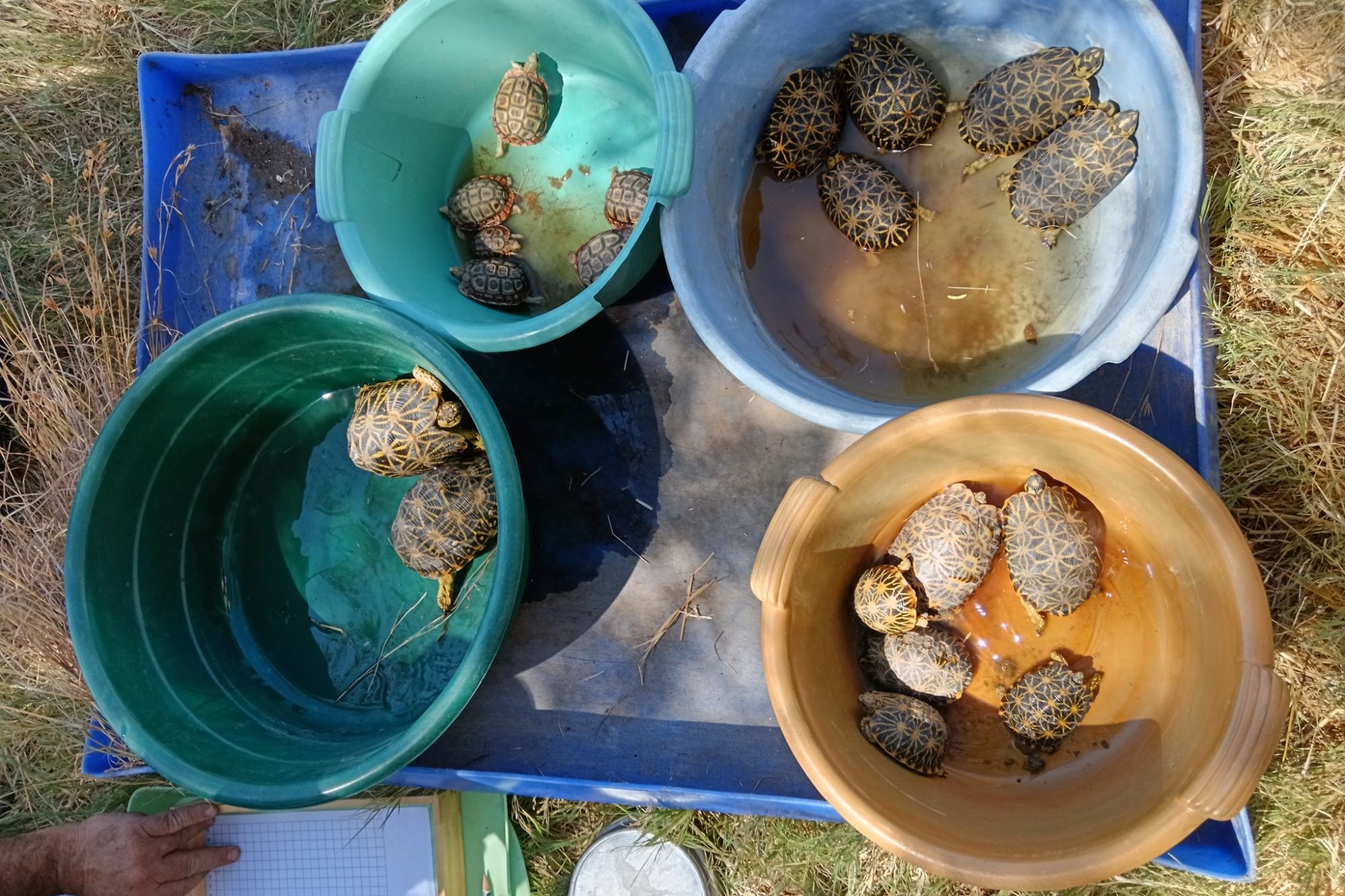 Image related to website content Image related to website content