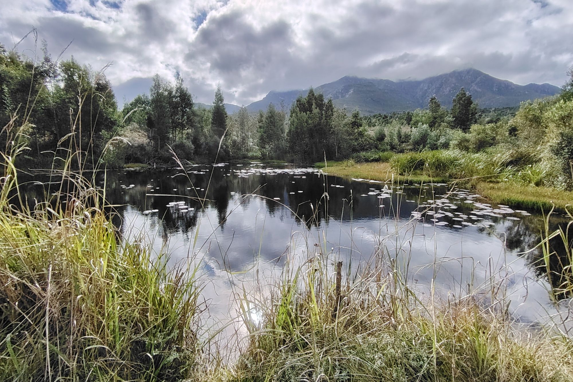 IMG 20240526 112744 IMG 20240526 112744