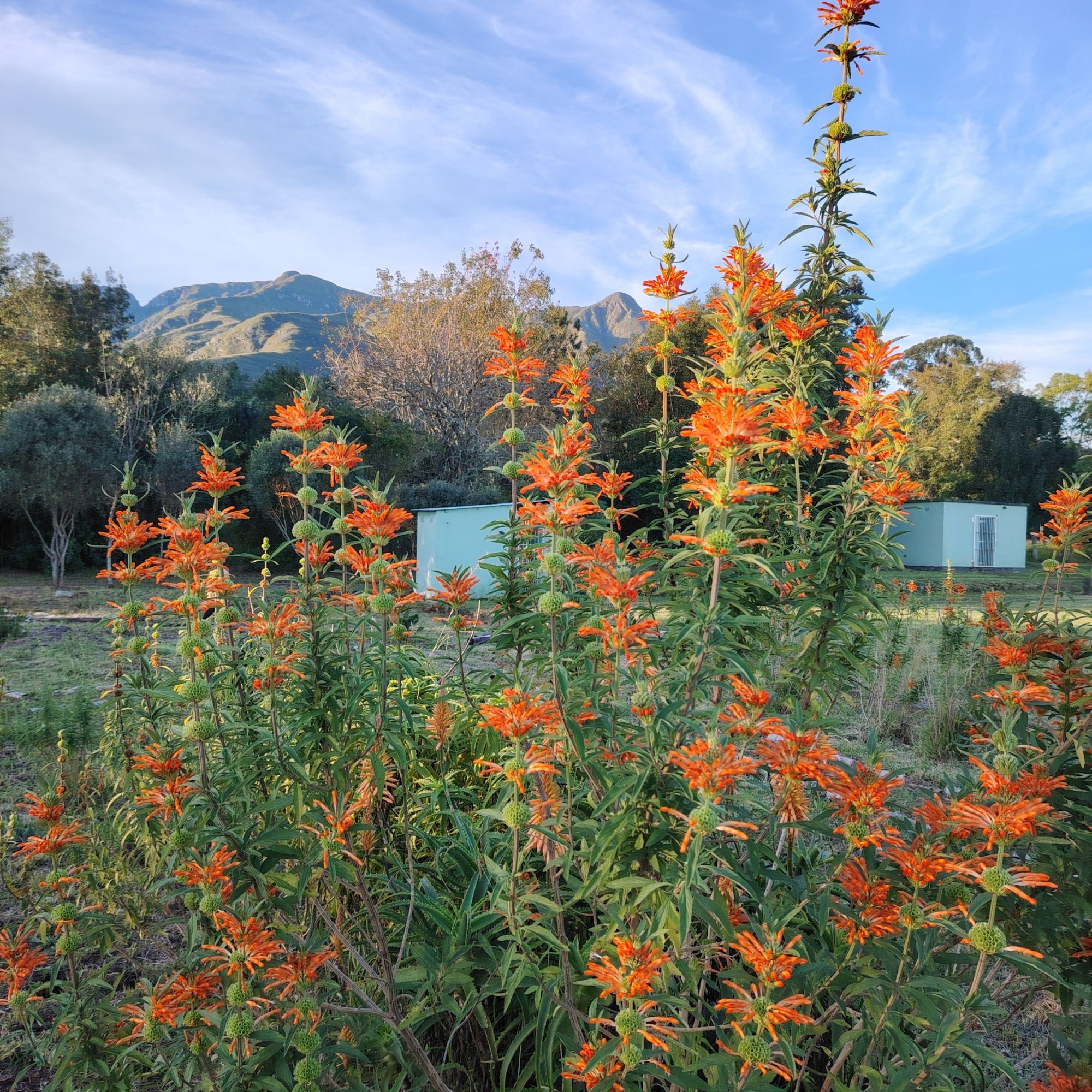 IMG 20250613 164905 resized 20251113 091214140