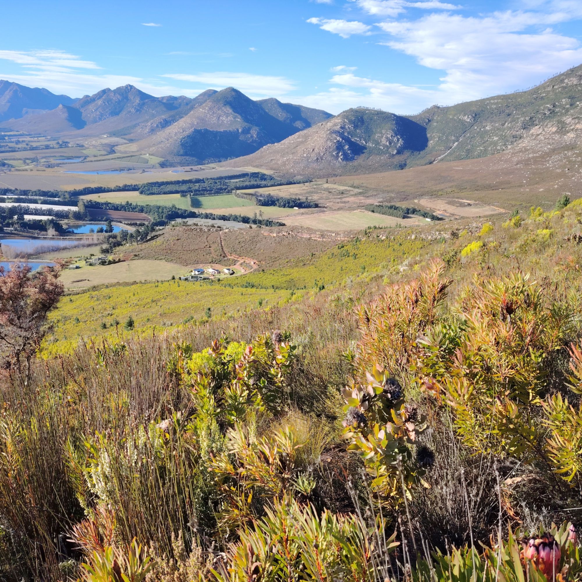 IMG 20250625 092543 resized 20251113 091213426