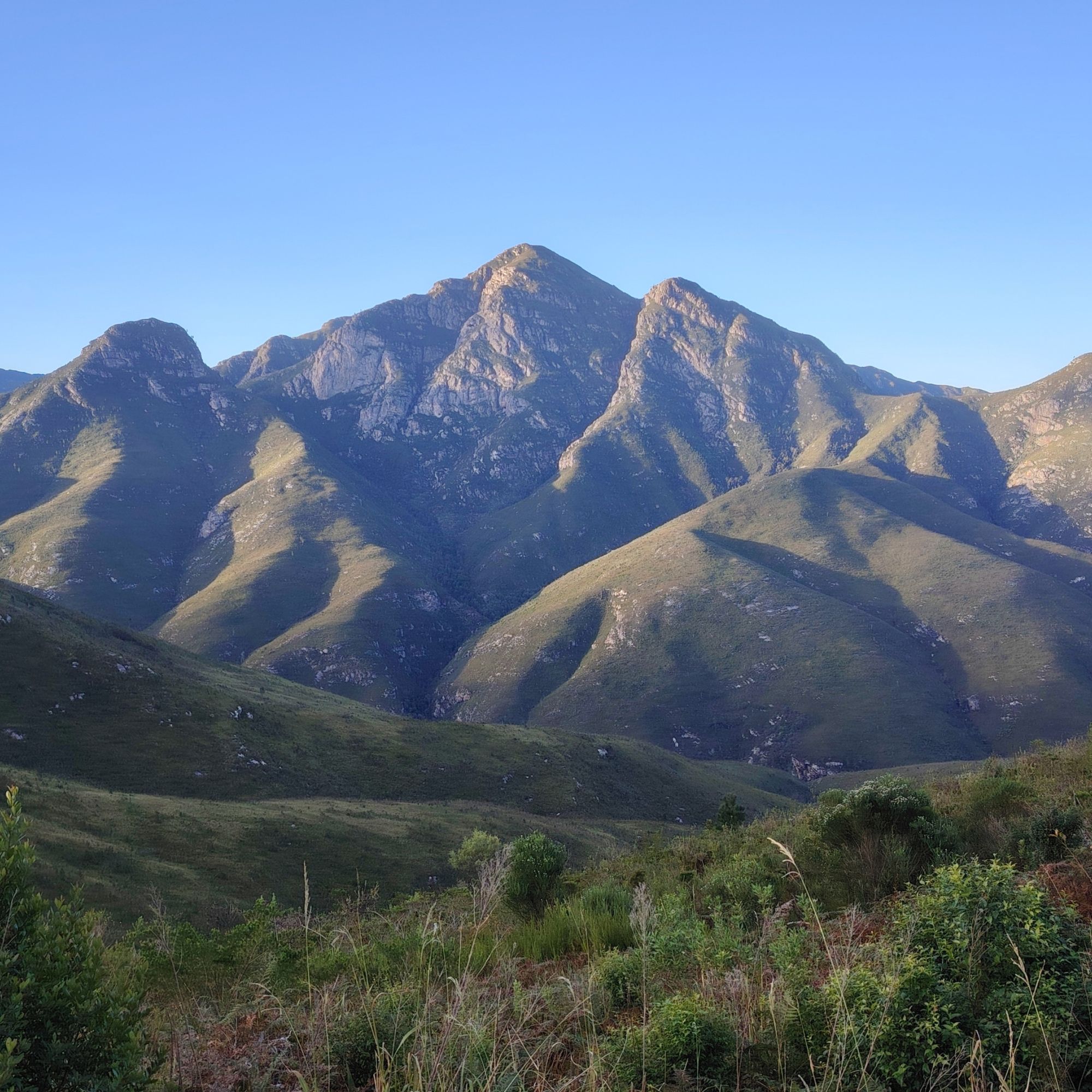 IMG 20250625 163729 resized 20251113 091212873