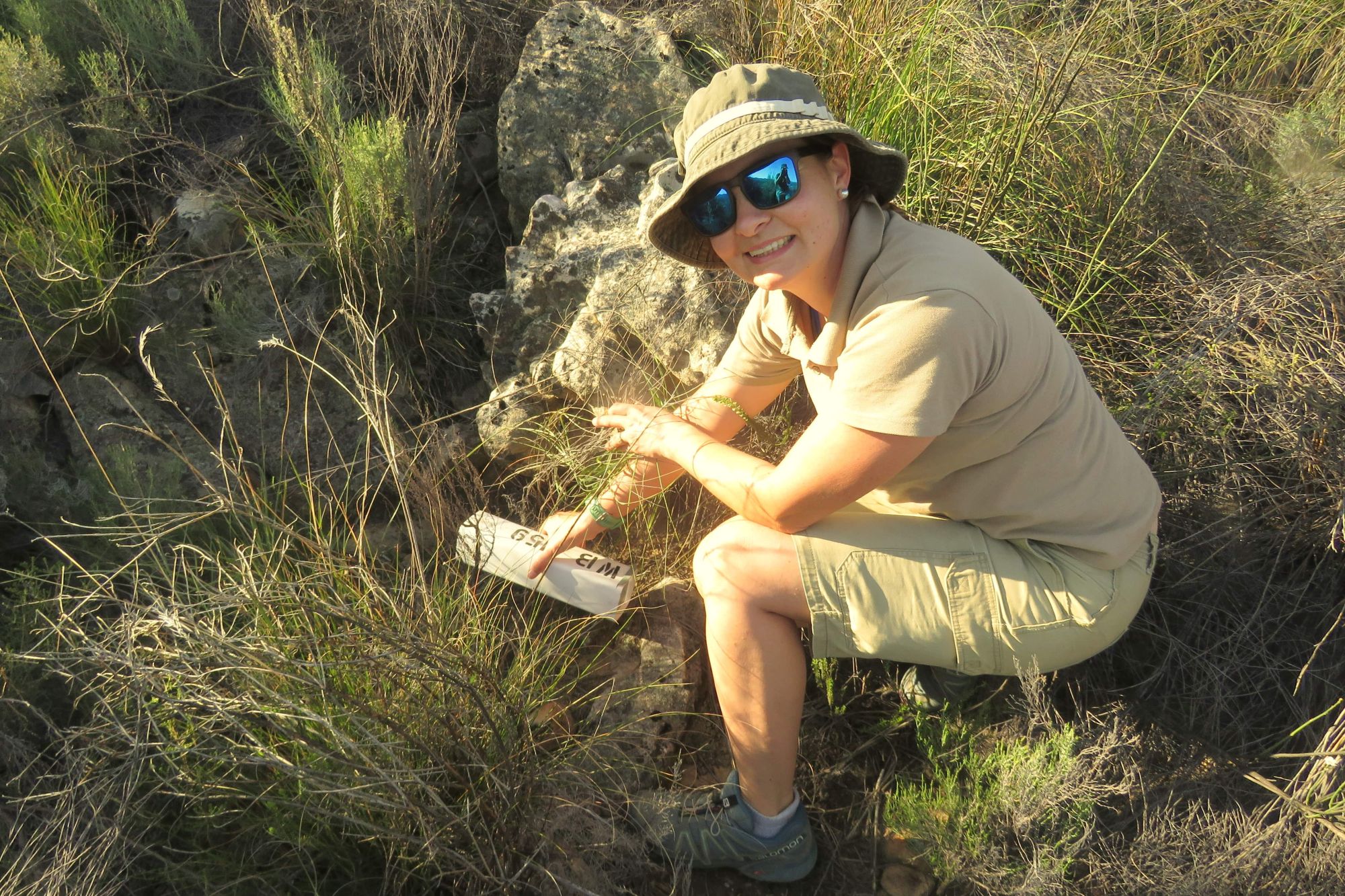 Image related to website content Image related to website content