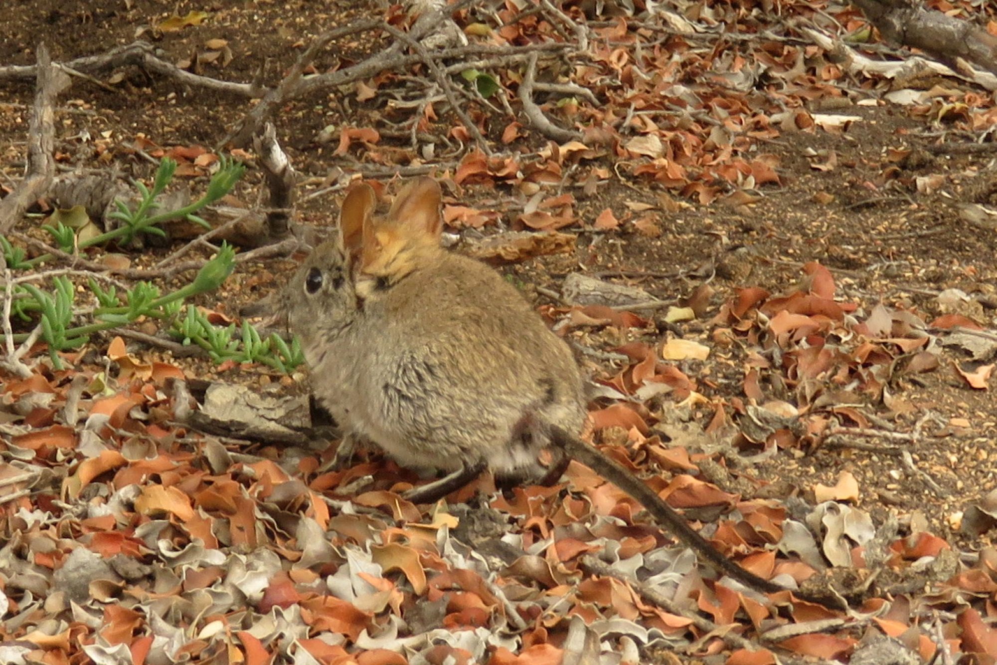 Image related to website content Image related to website content