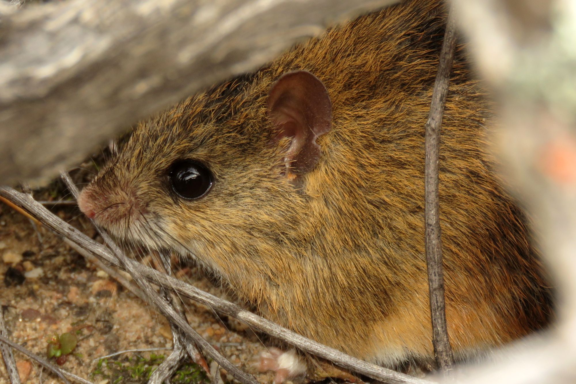 Image related to website content Image related to website content