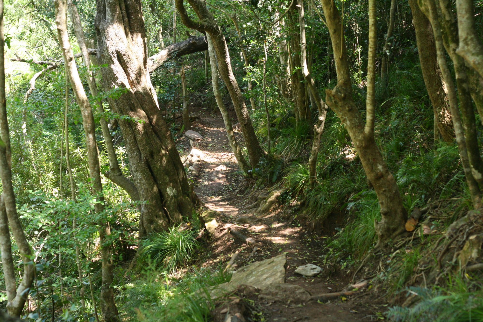 Image related to website content Image related to website content