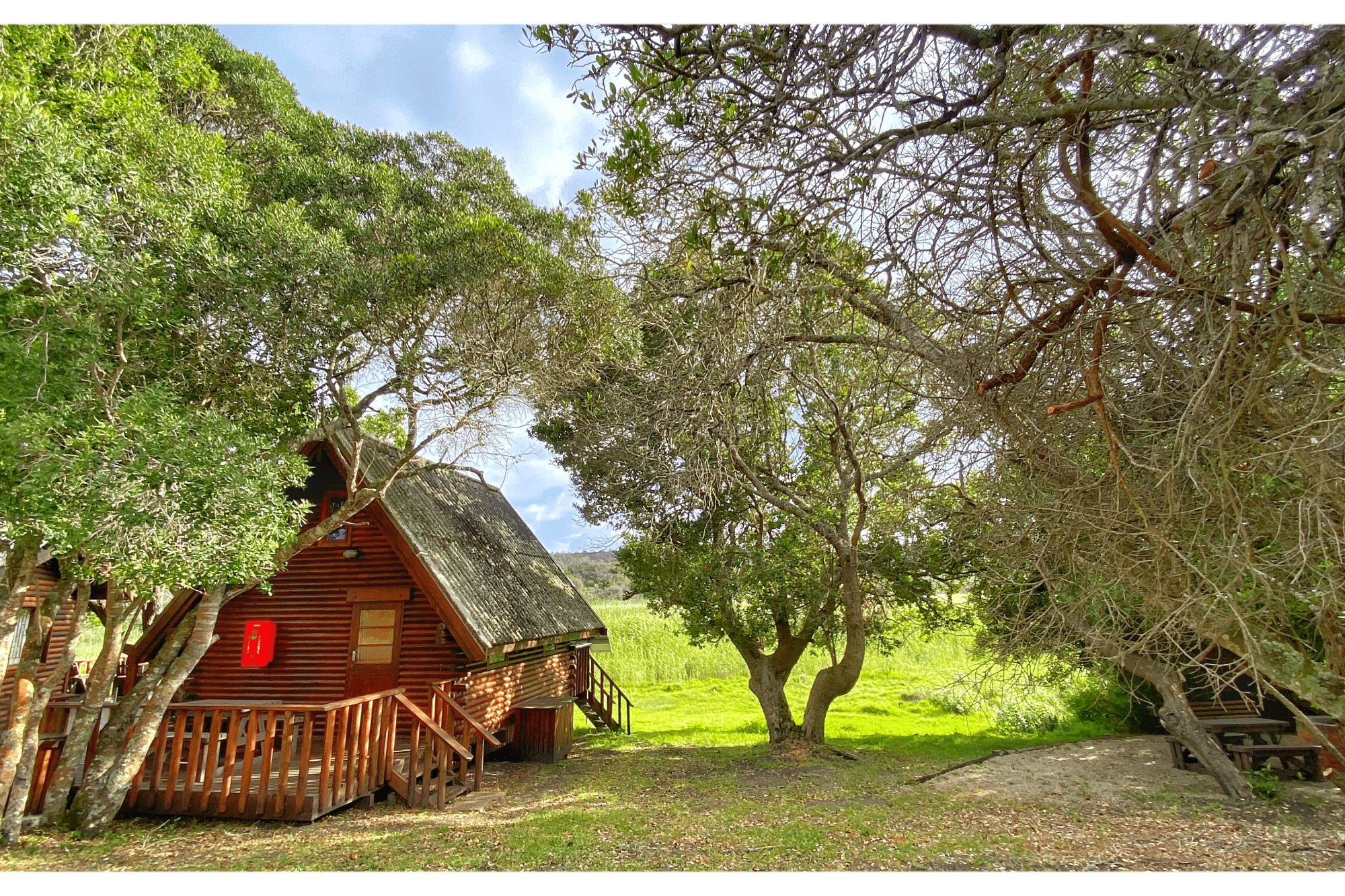 Image related to website content Image related to website content