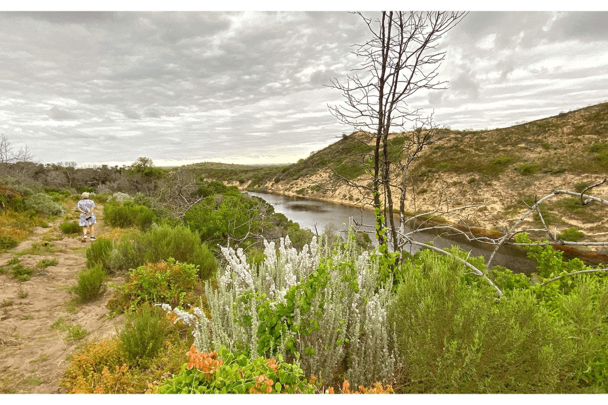 Image related to website content Image related to website content