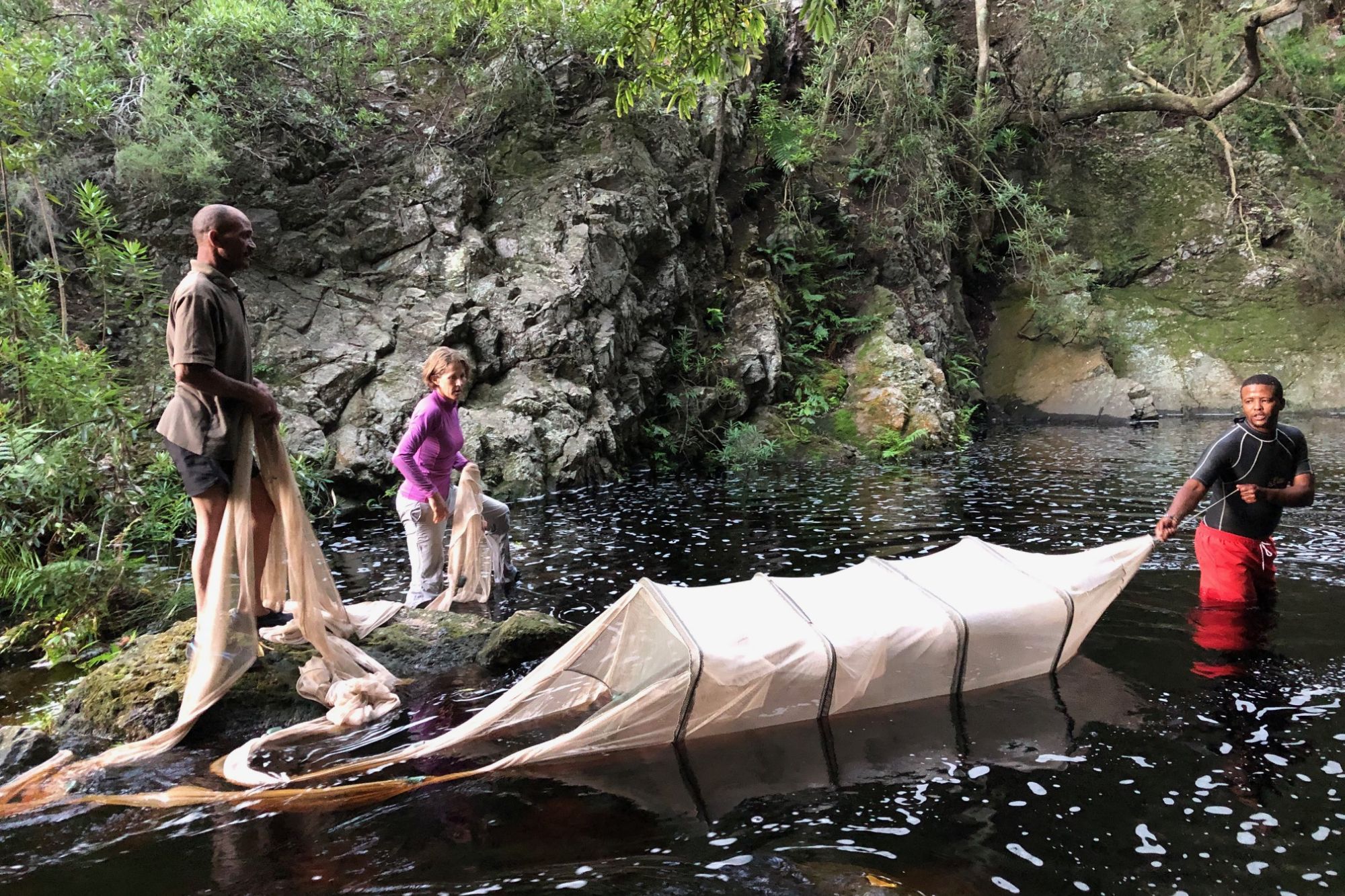 Image related to website content Image related to website content