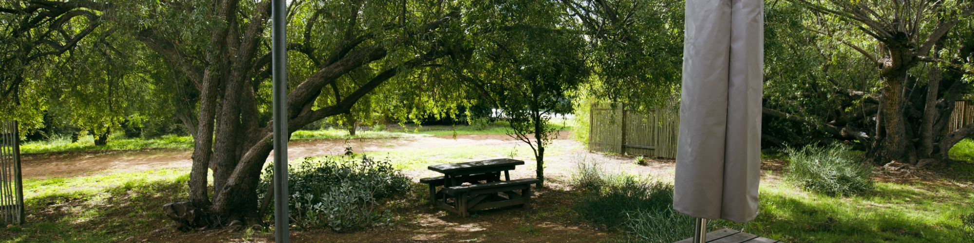 IMG 6927 copy IMG 6927 copy