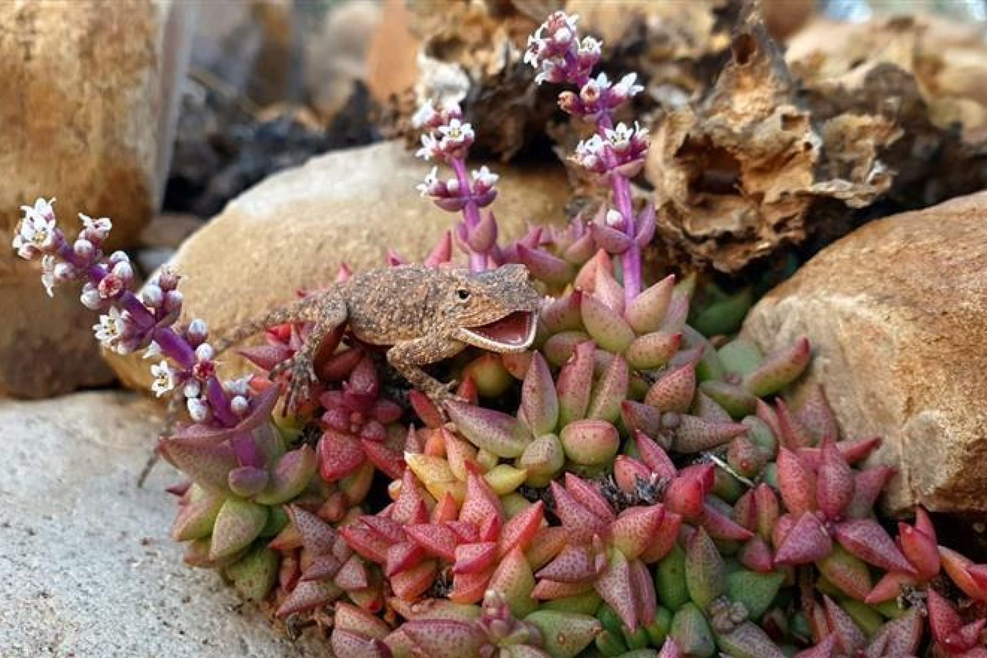 Image Doringkloof Image Doringkloof