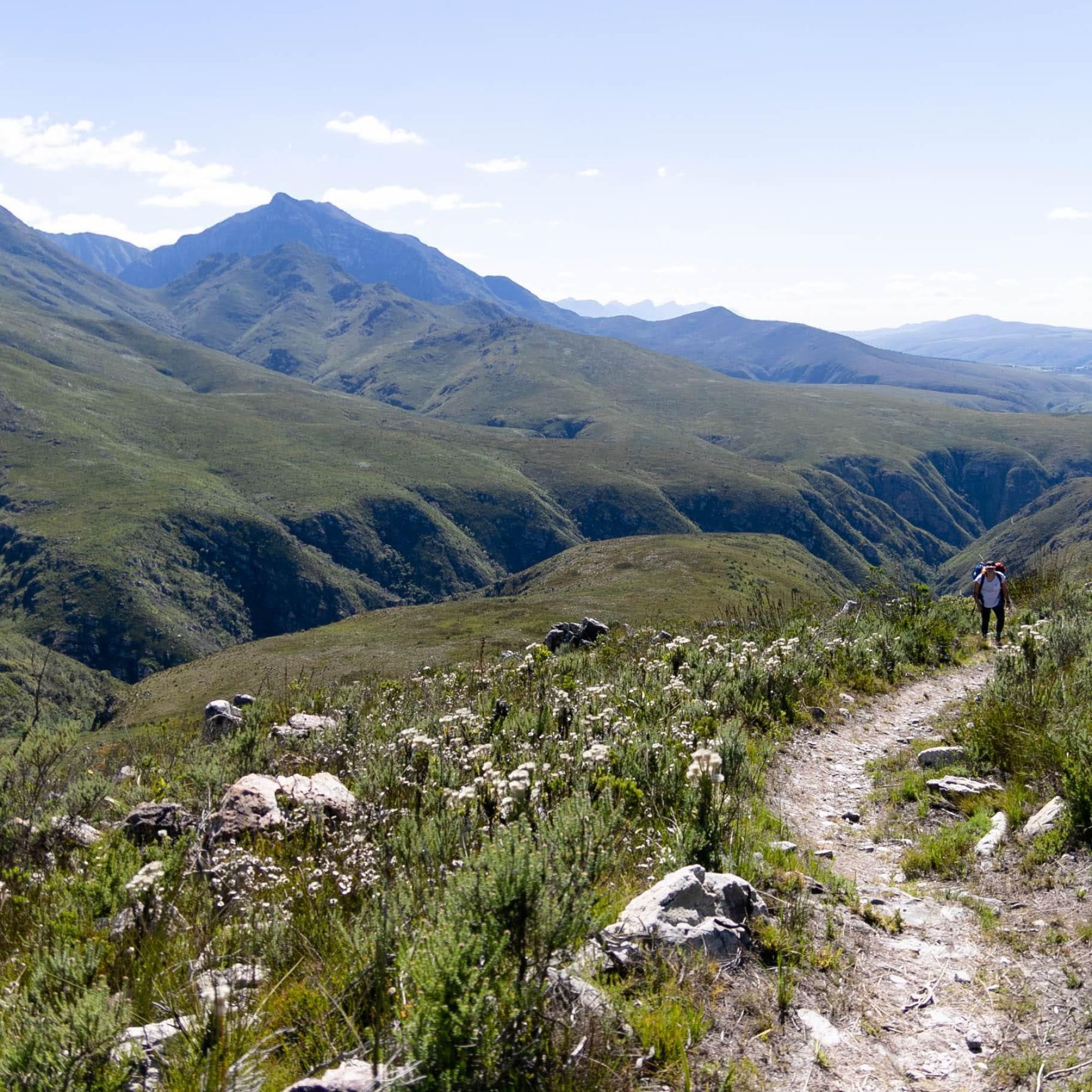 Image related to website content Image related to website content