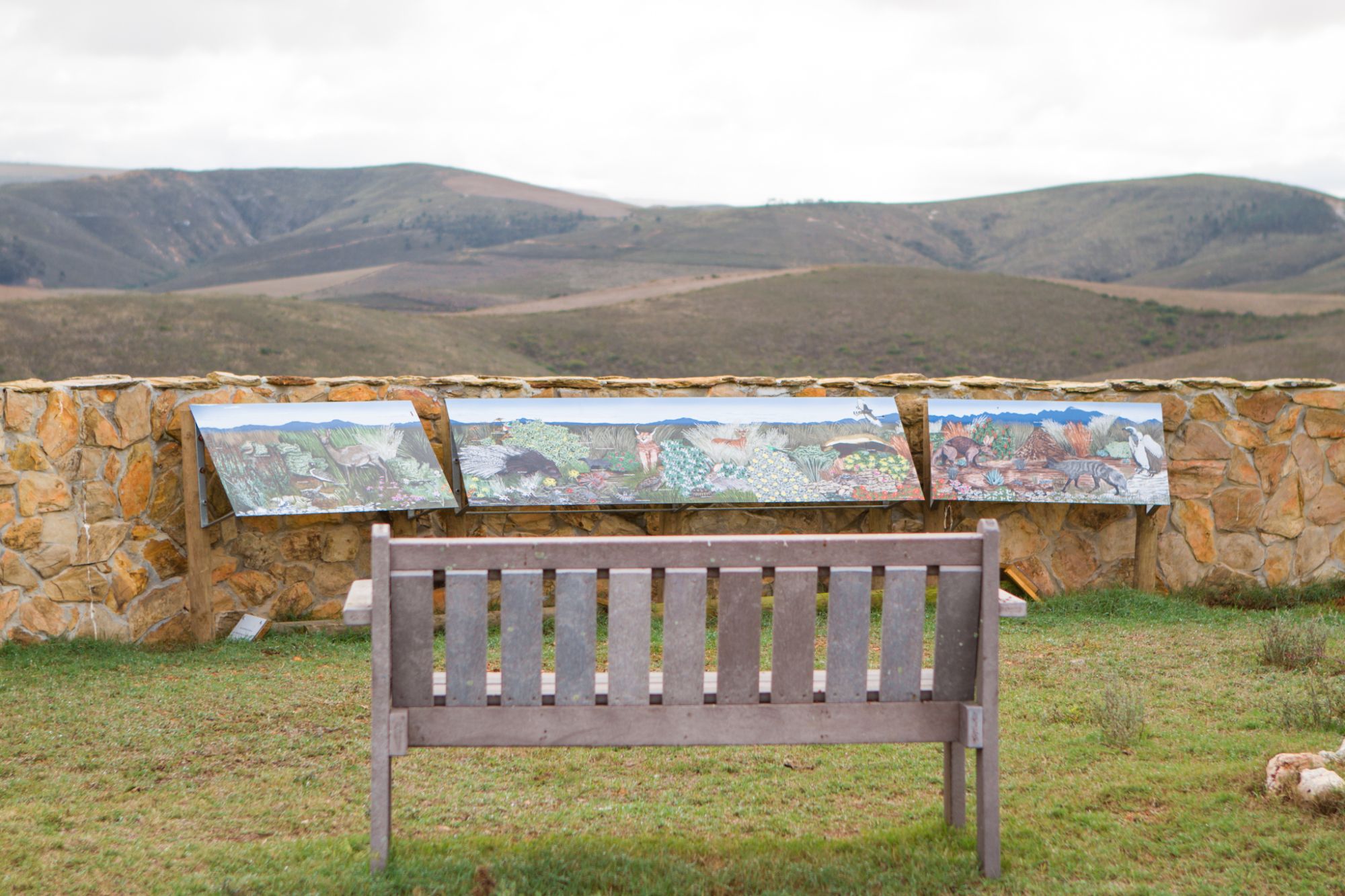 Jdk Photography 91 Jdk Photography 91