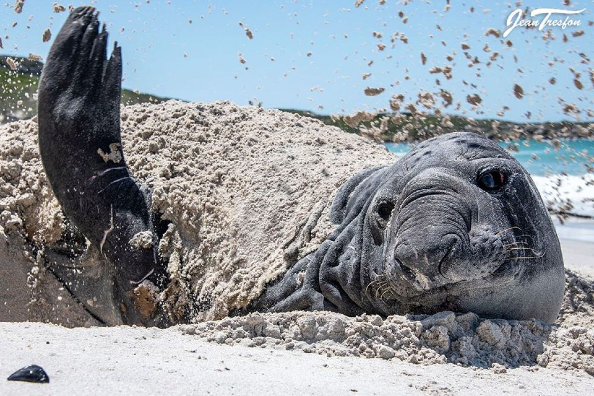 Image related to website content Image related to website content