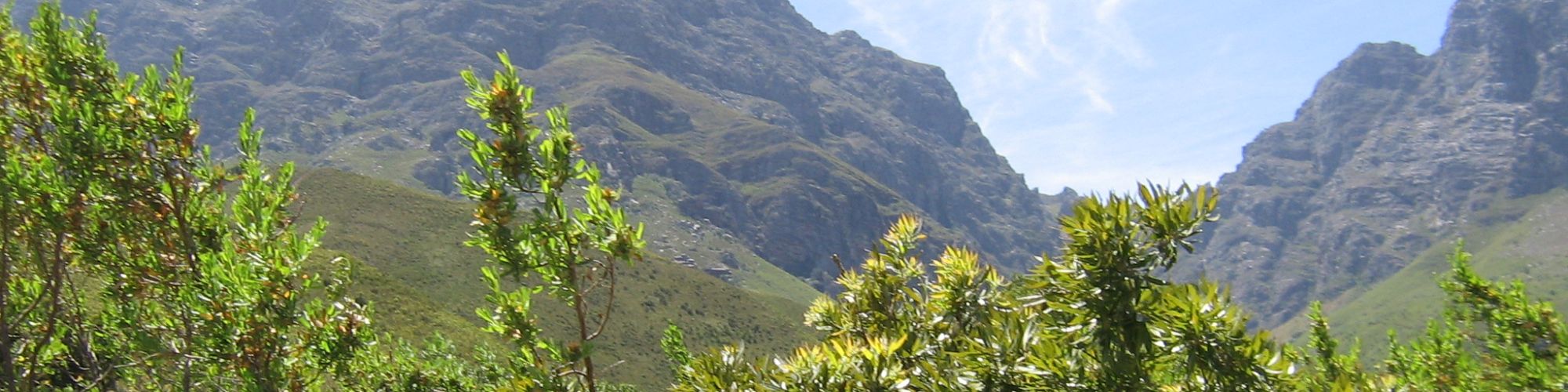 Jonkershoek Circular Drive Out 5 Jonkershoek Circular Drive Out 5