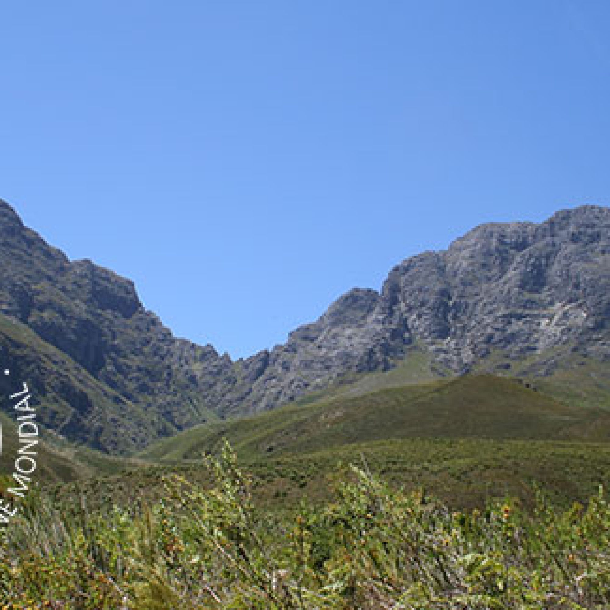 Image related to website content