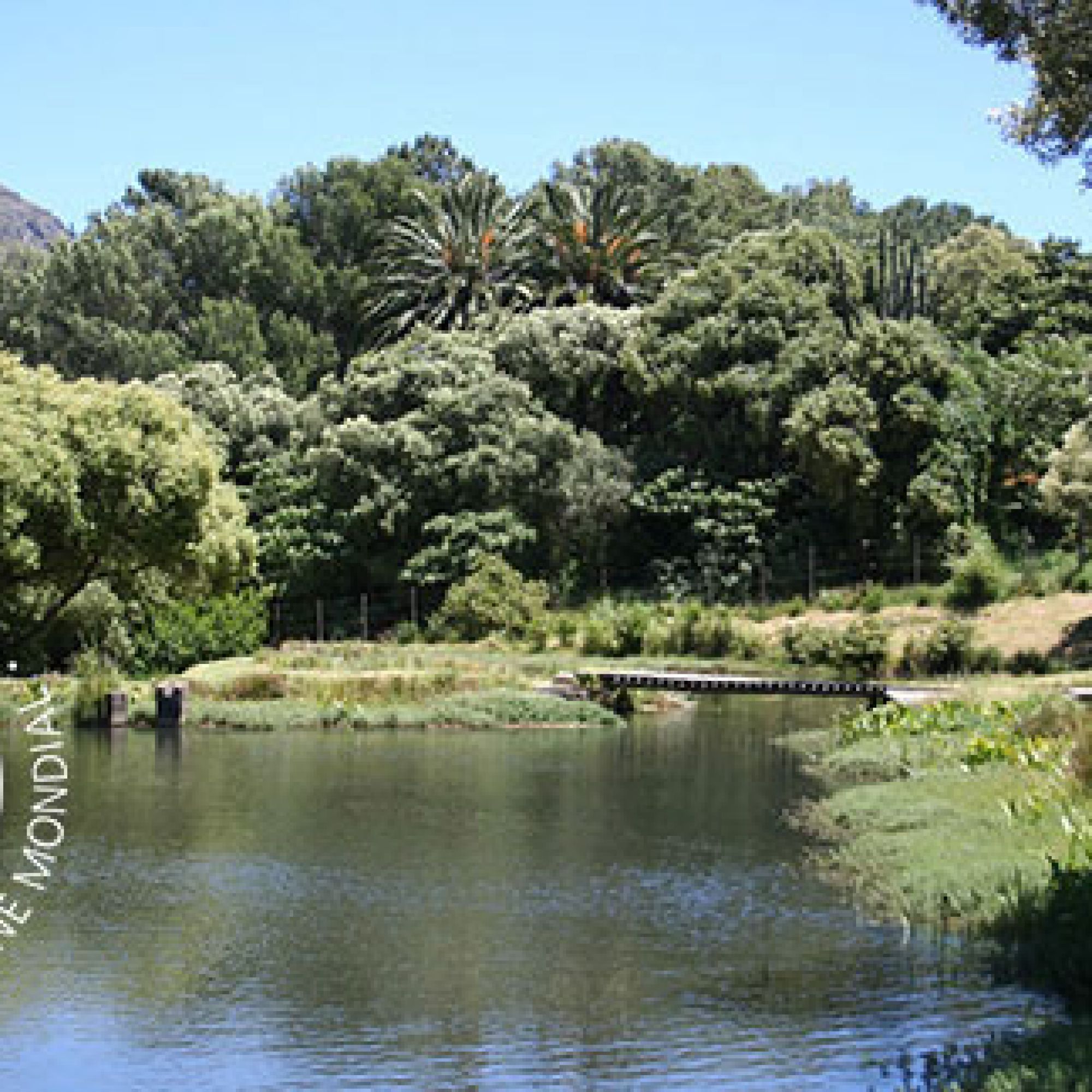 Image related to website content