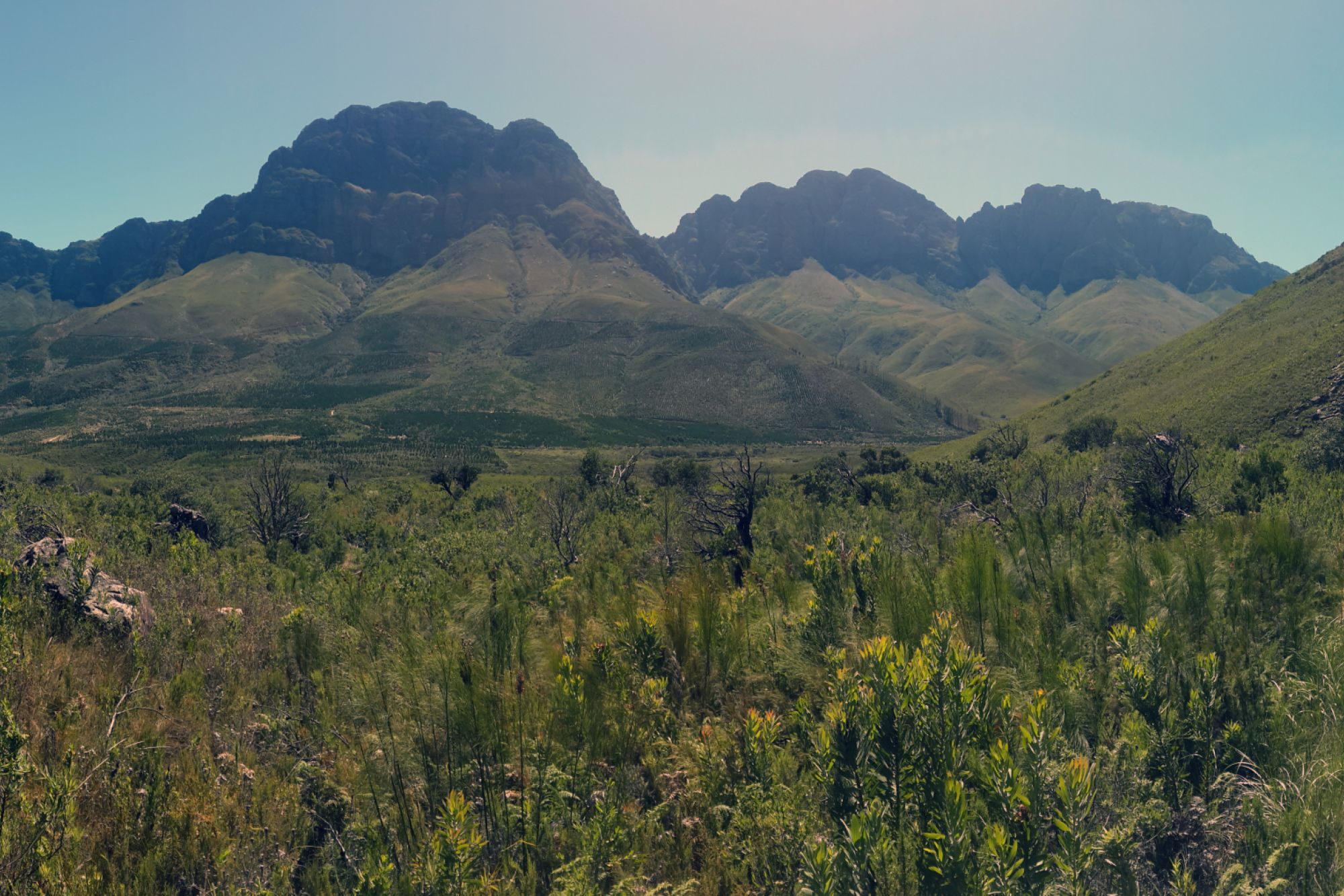 Image related to website content Image related to website content