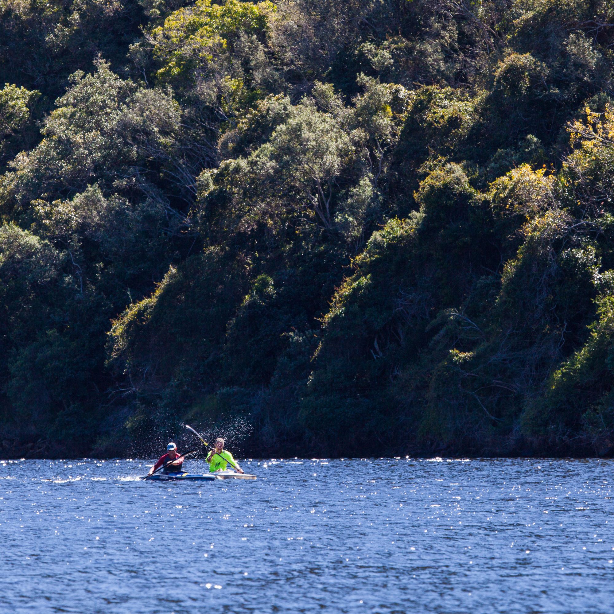 Keurbooms Nature Reserve copyright Scott N Ramsay Keurbooms Nature Reserve copyright Scott N Ramsay