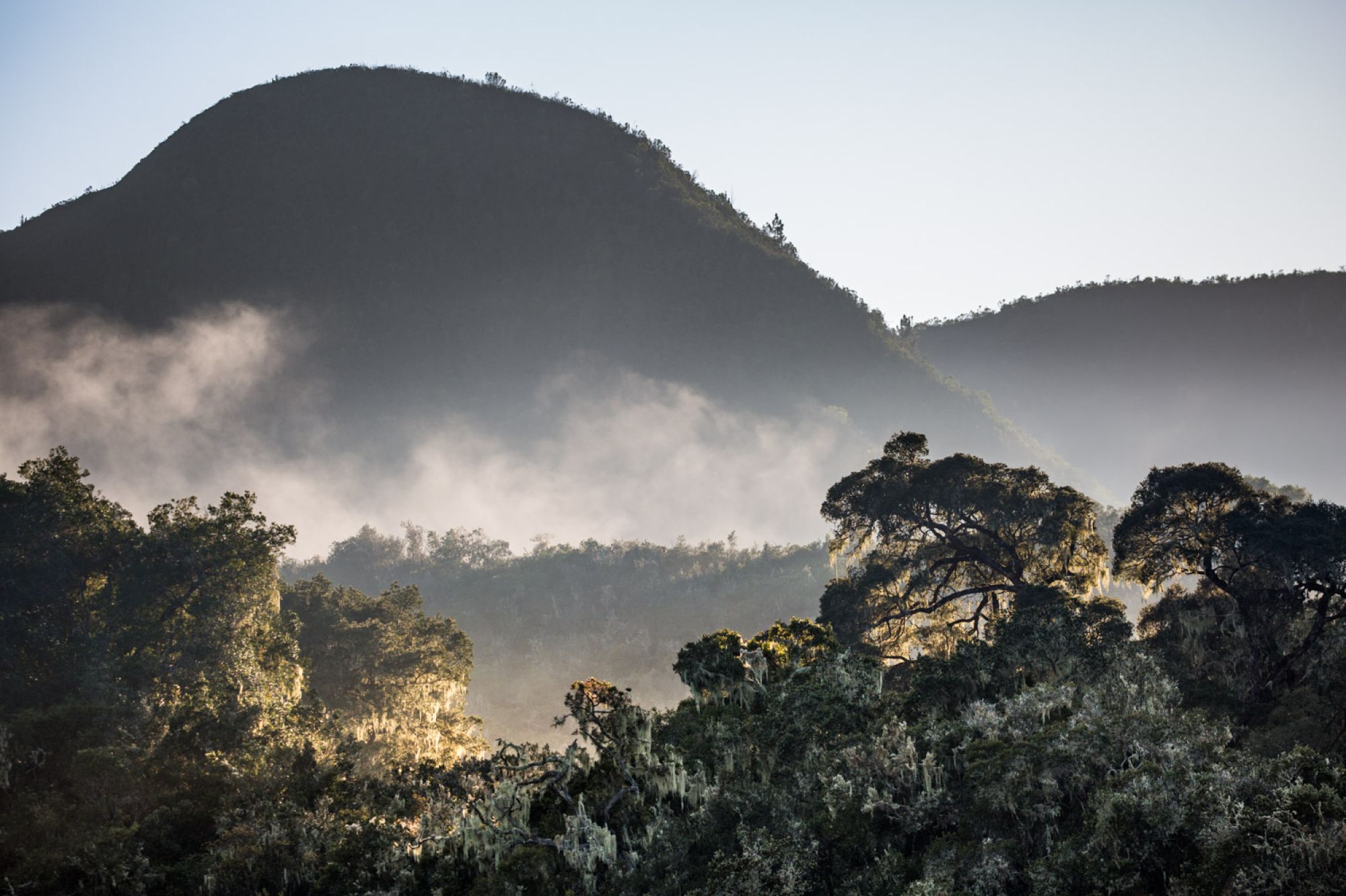 Image related to website content Image related to website content