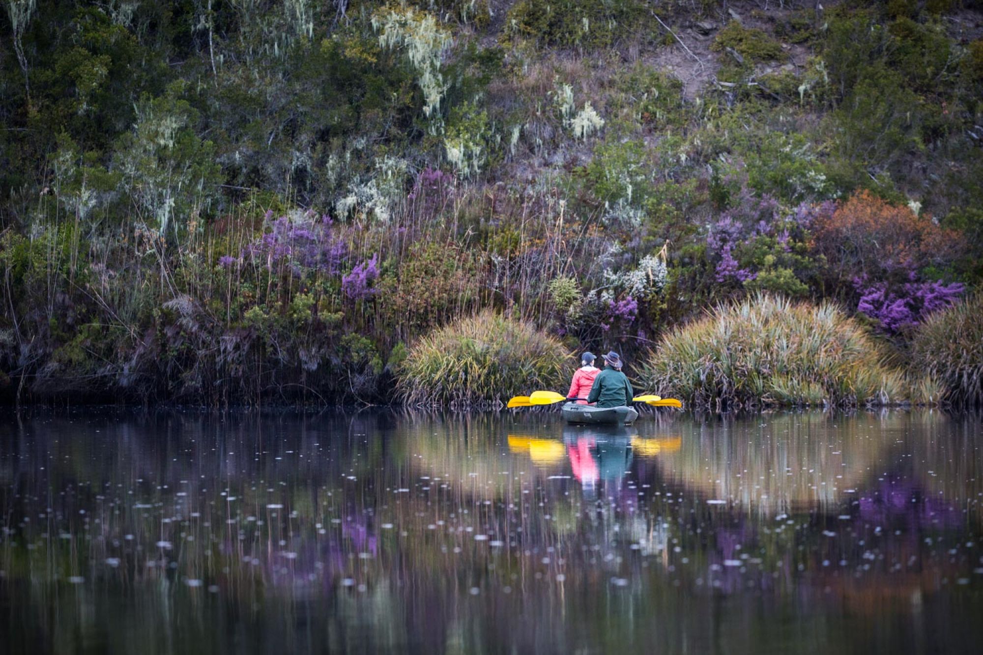 Image related to website content Image related to website content