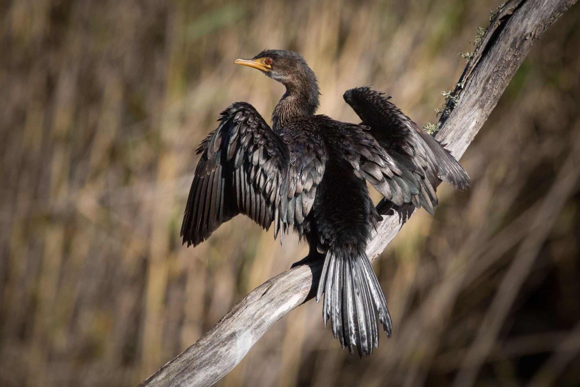 Image related to website content Image related to website content