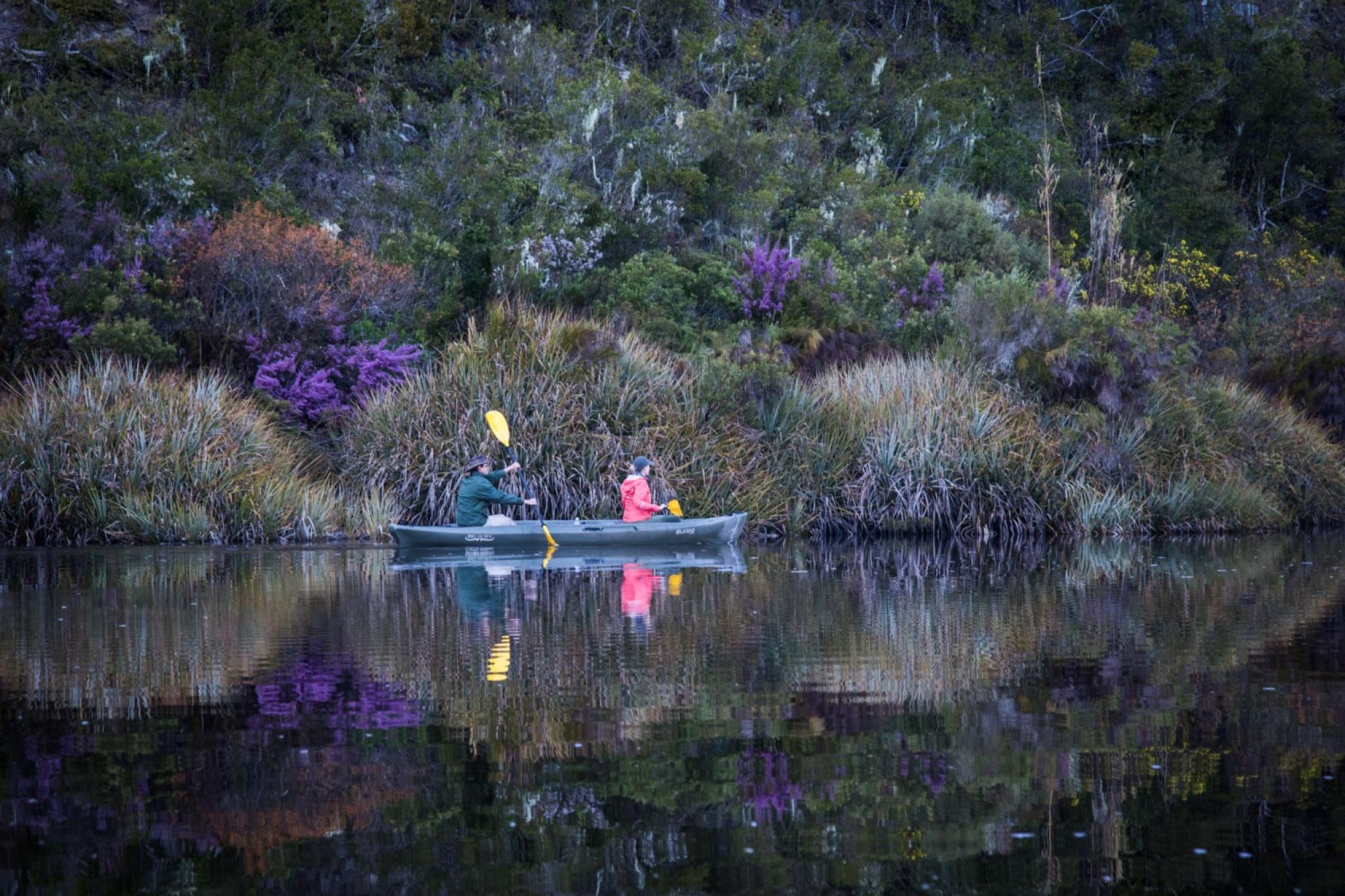 Image related to website content Image related to website content