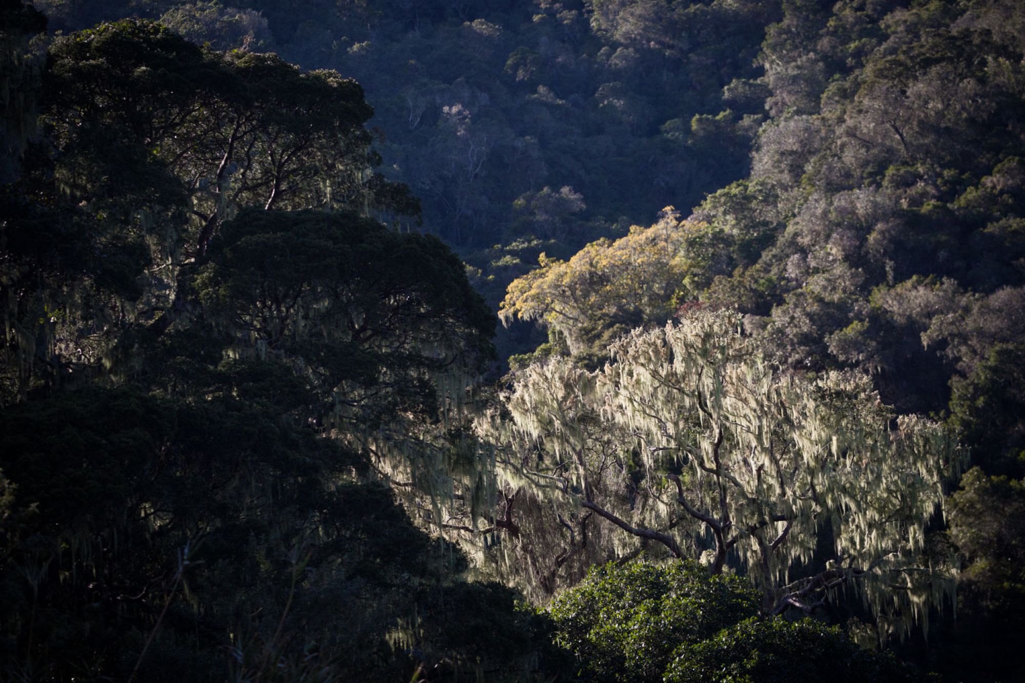 Image related to website content Image related to website content