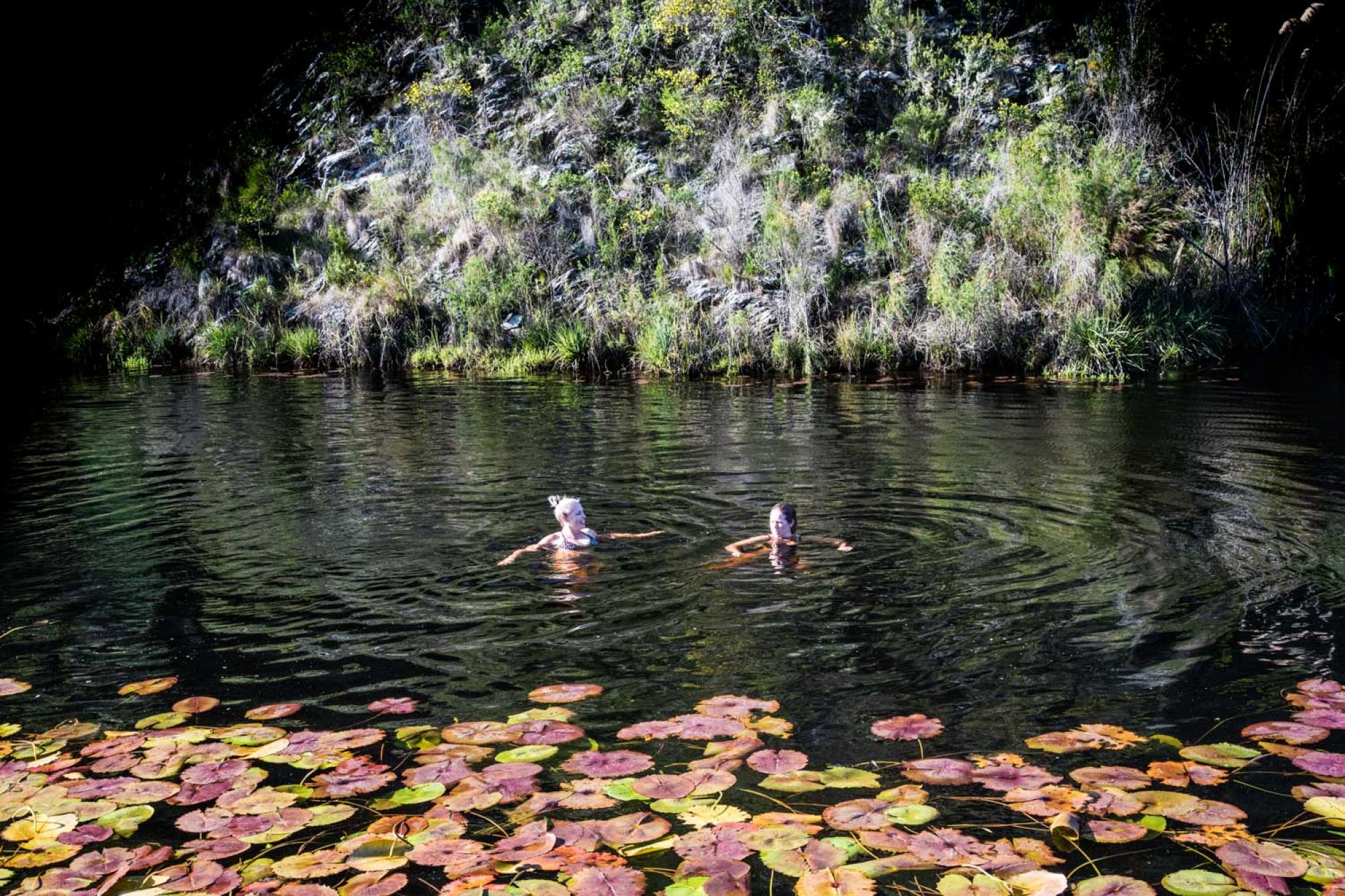 Image related to website content Image related to website content