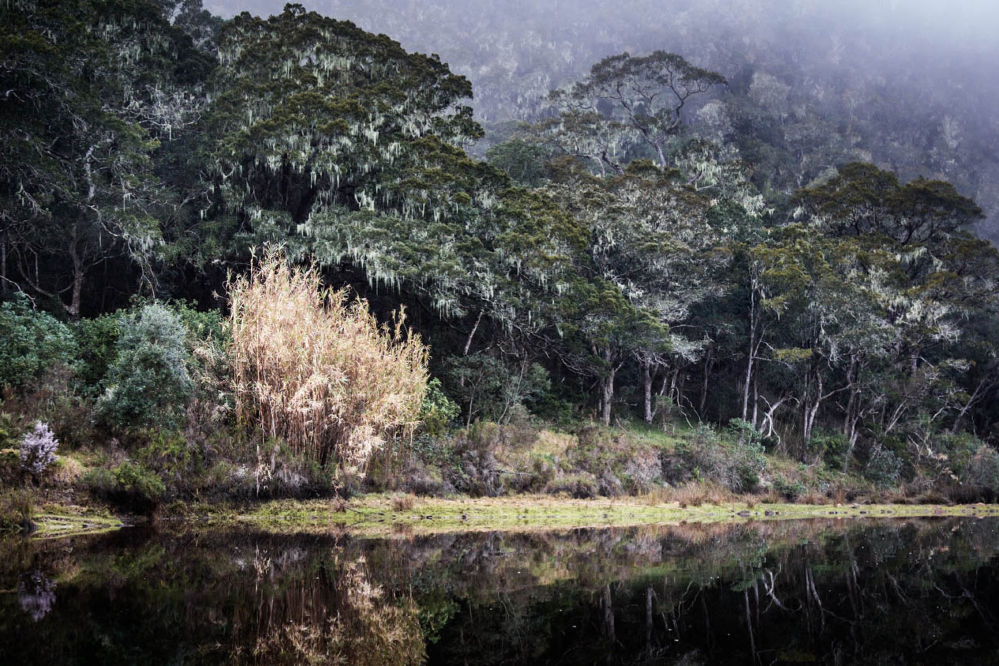 Image related to website content Image related to website content