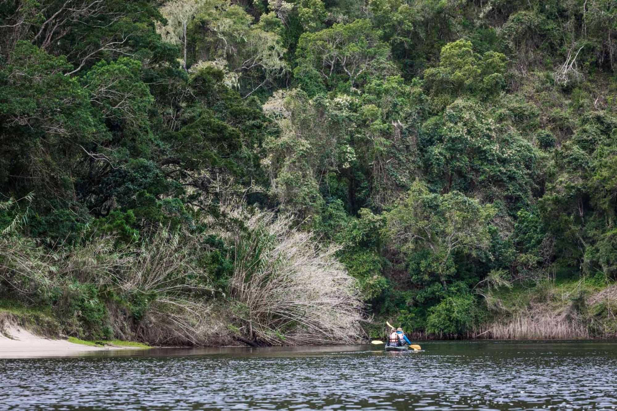 Image related to website content Image related to website content