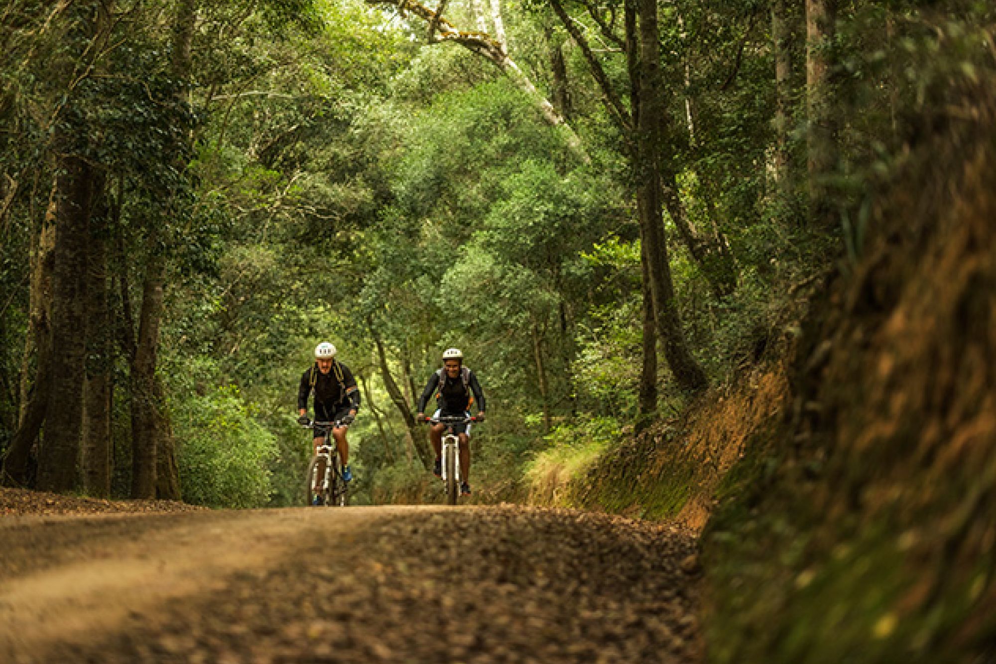 Image related to website content Image related to website content