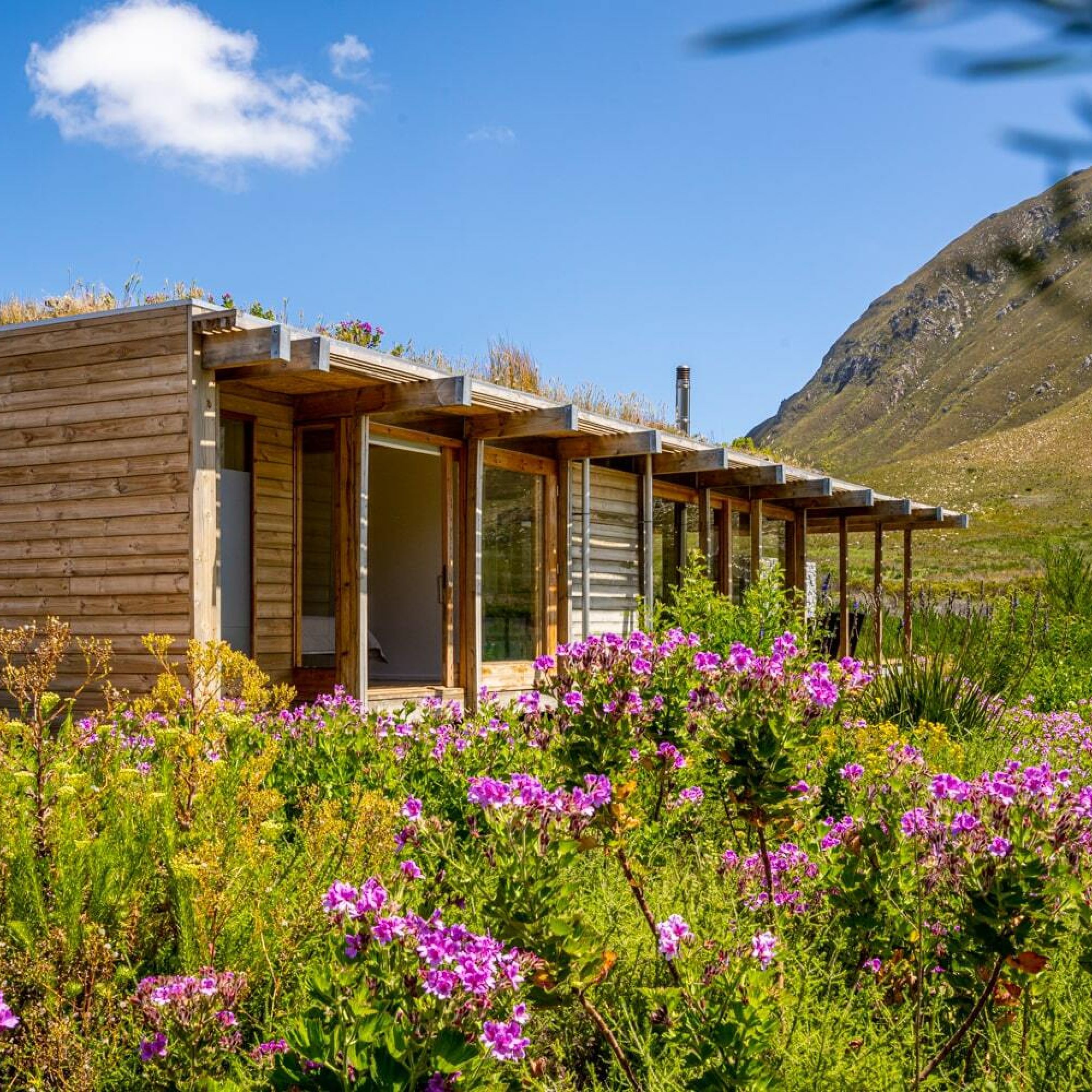 Image related to website content Image related to website content