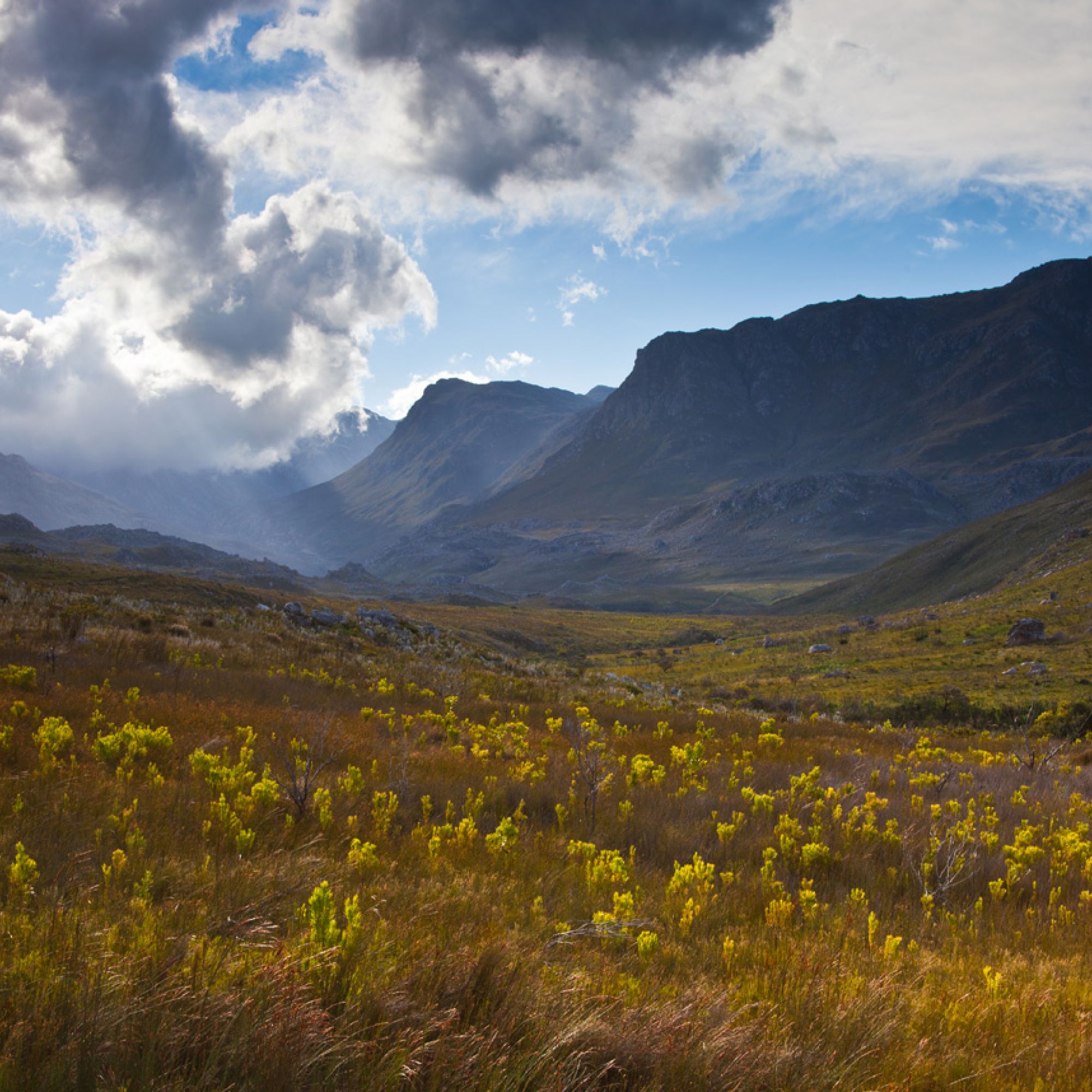 Image related to website content