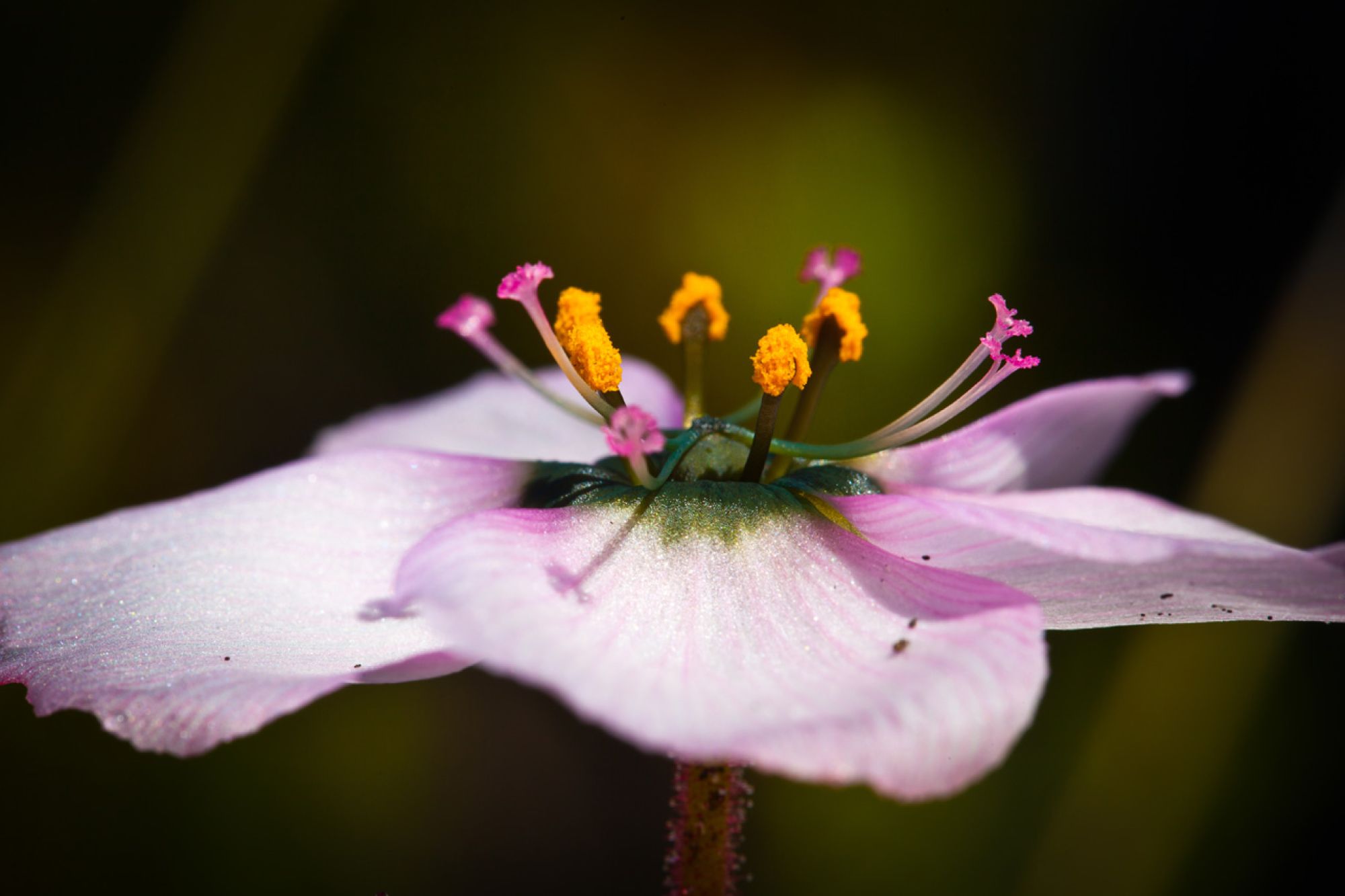 Image related to website content Image related to website content