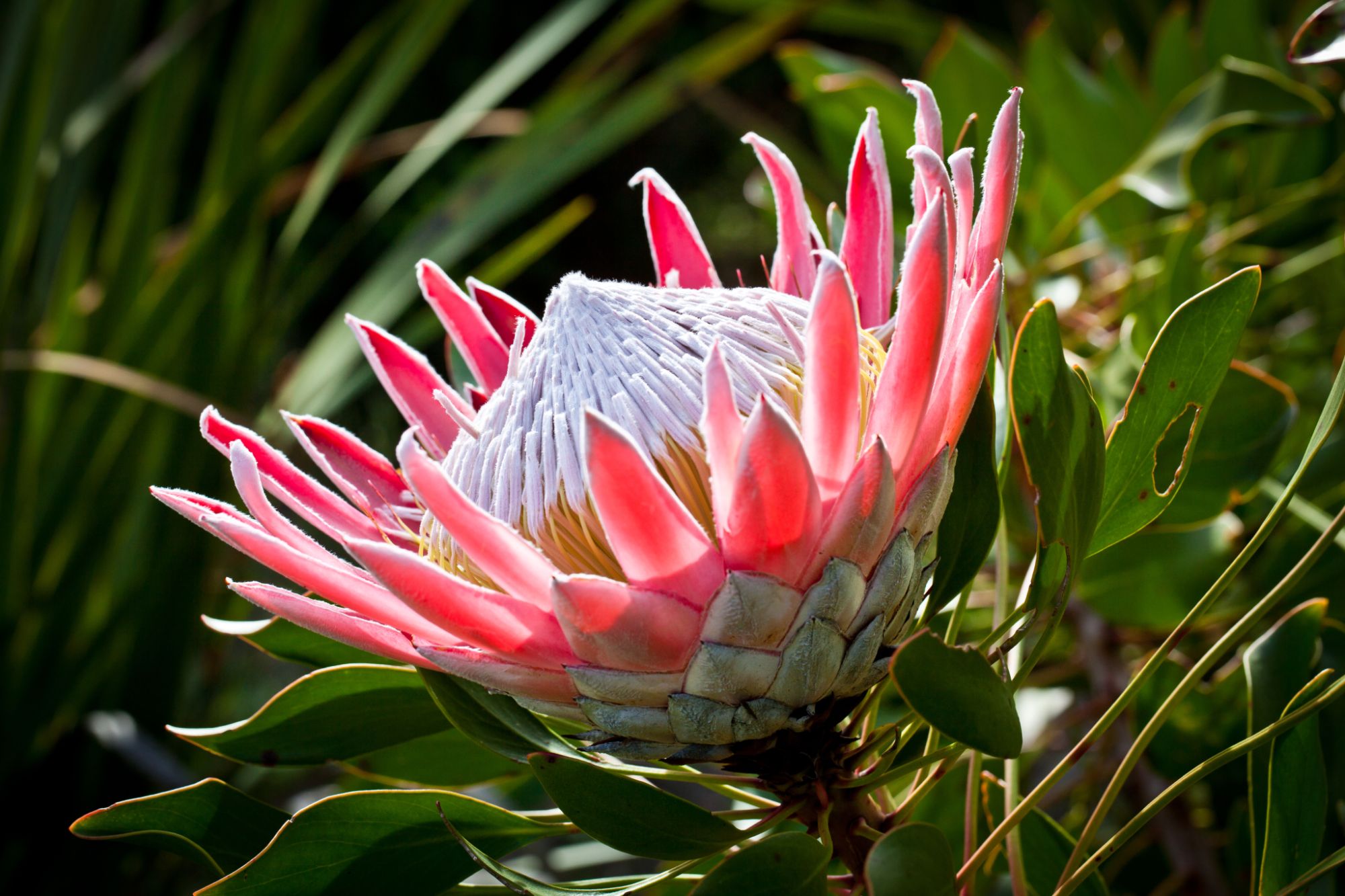 Image related to website content Image related to website content