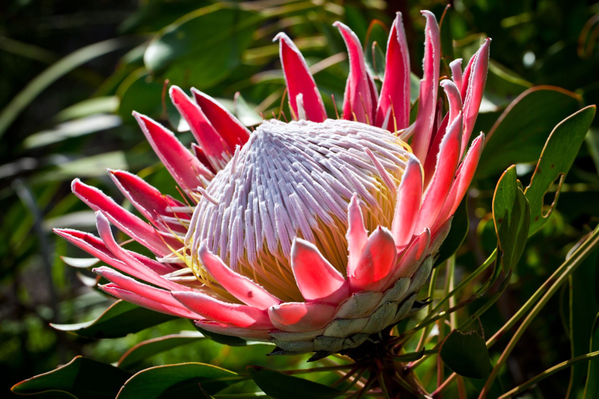 Image related to website content Image related to website content