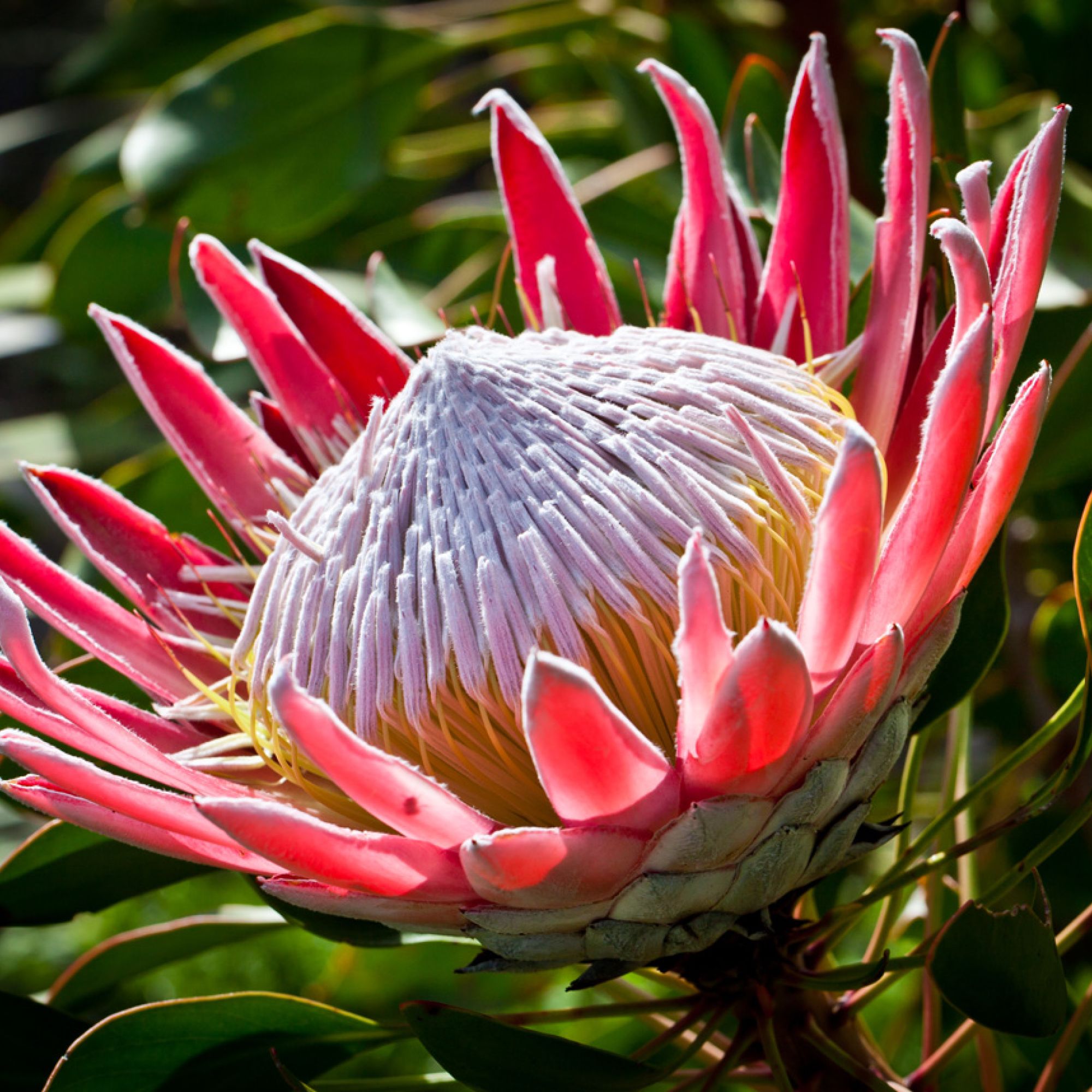 Image related to website content