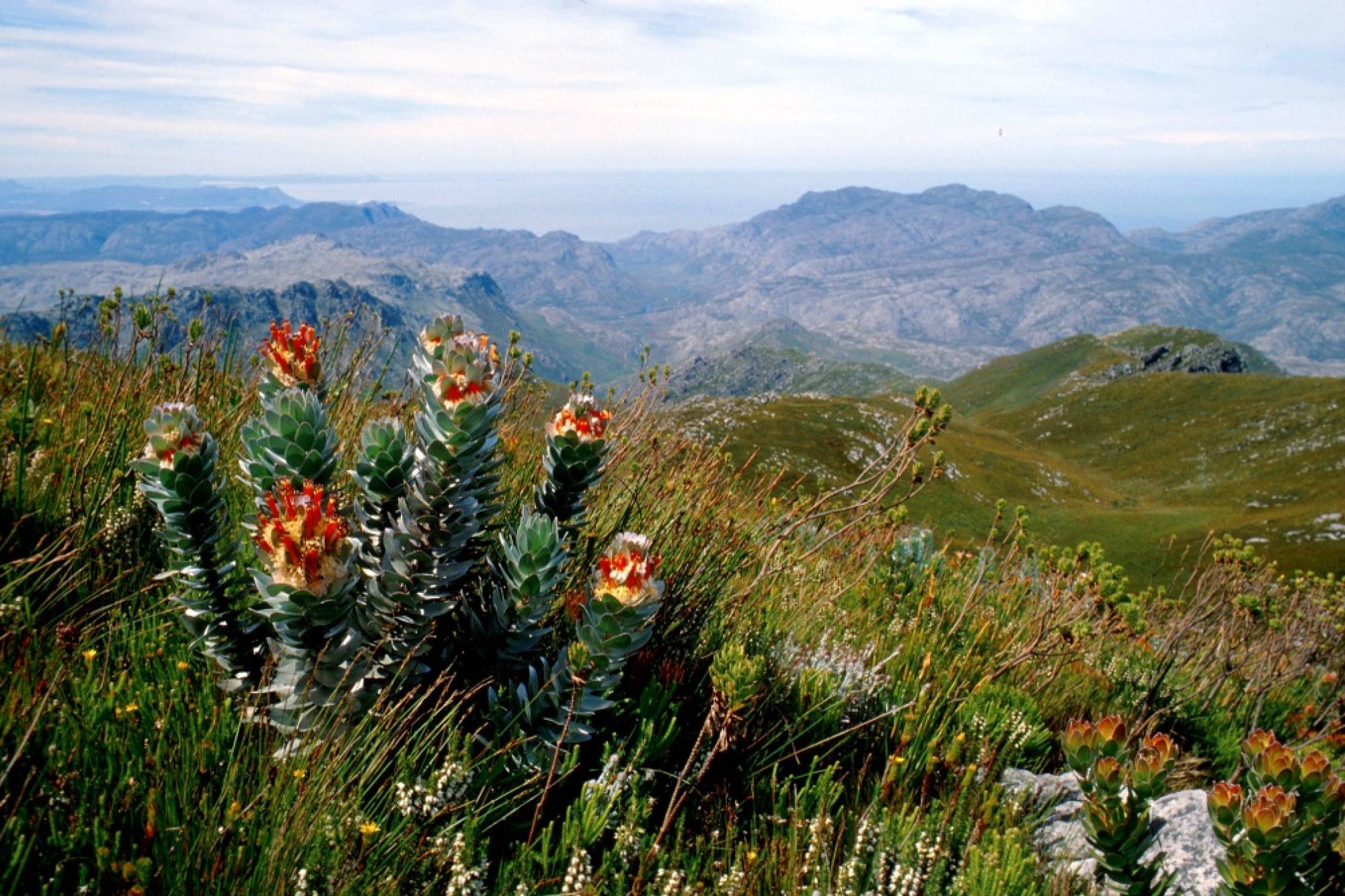 Image related to website content Image related to website content