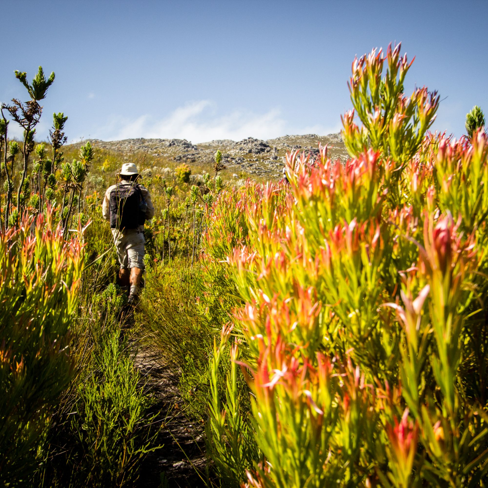 Image related to website content Image related to website content