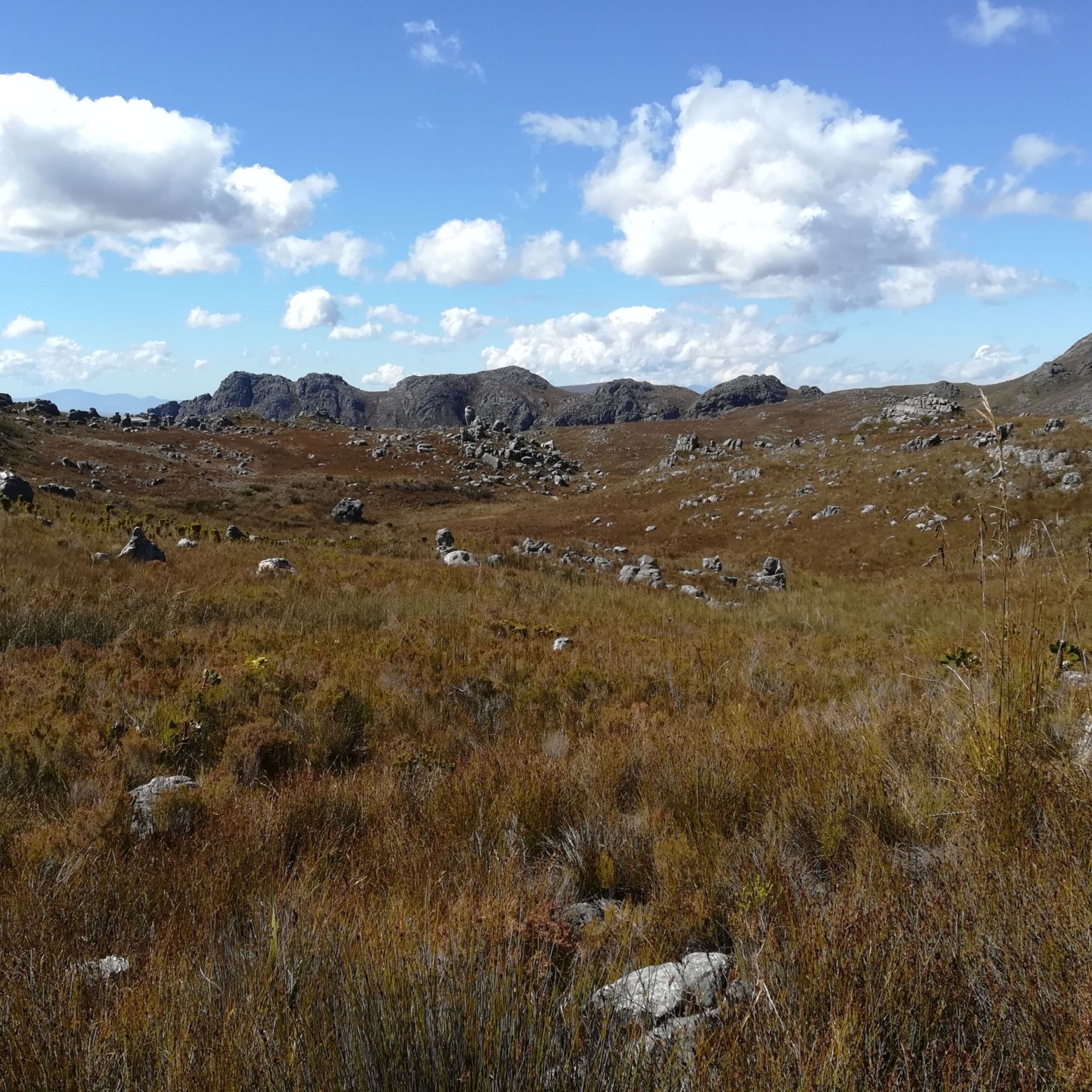 Image related to website content Image related to website content