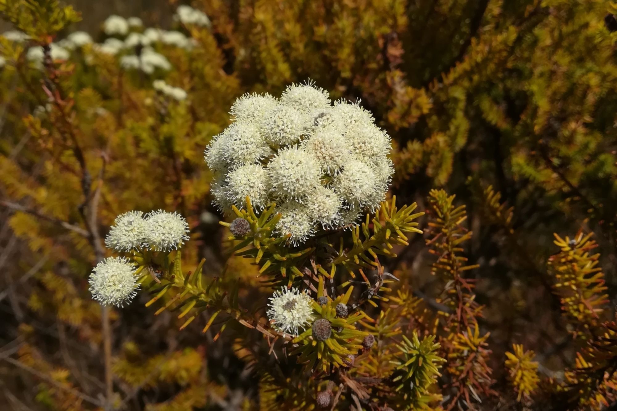 Image related to website content Image related to website content