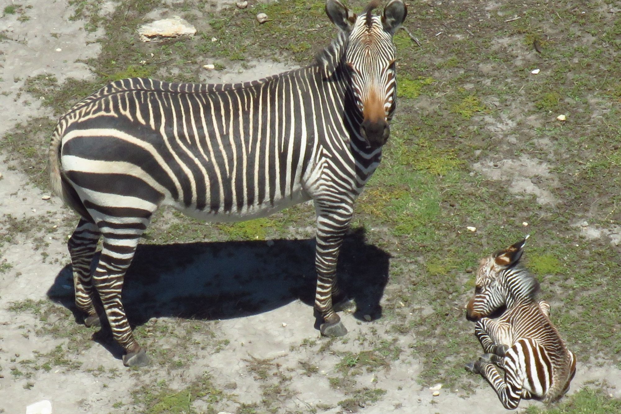 Image related to website content Image related to website content