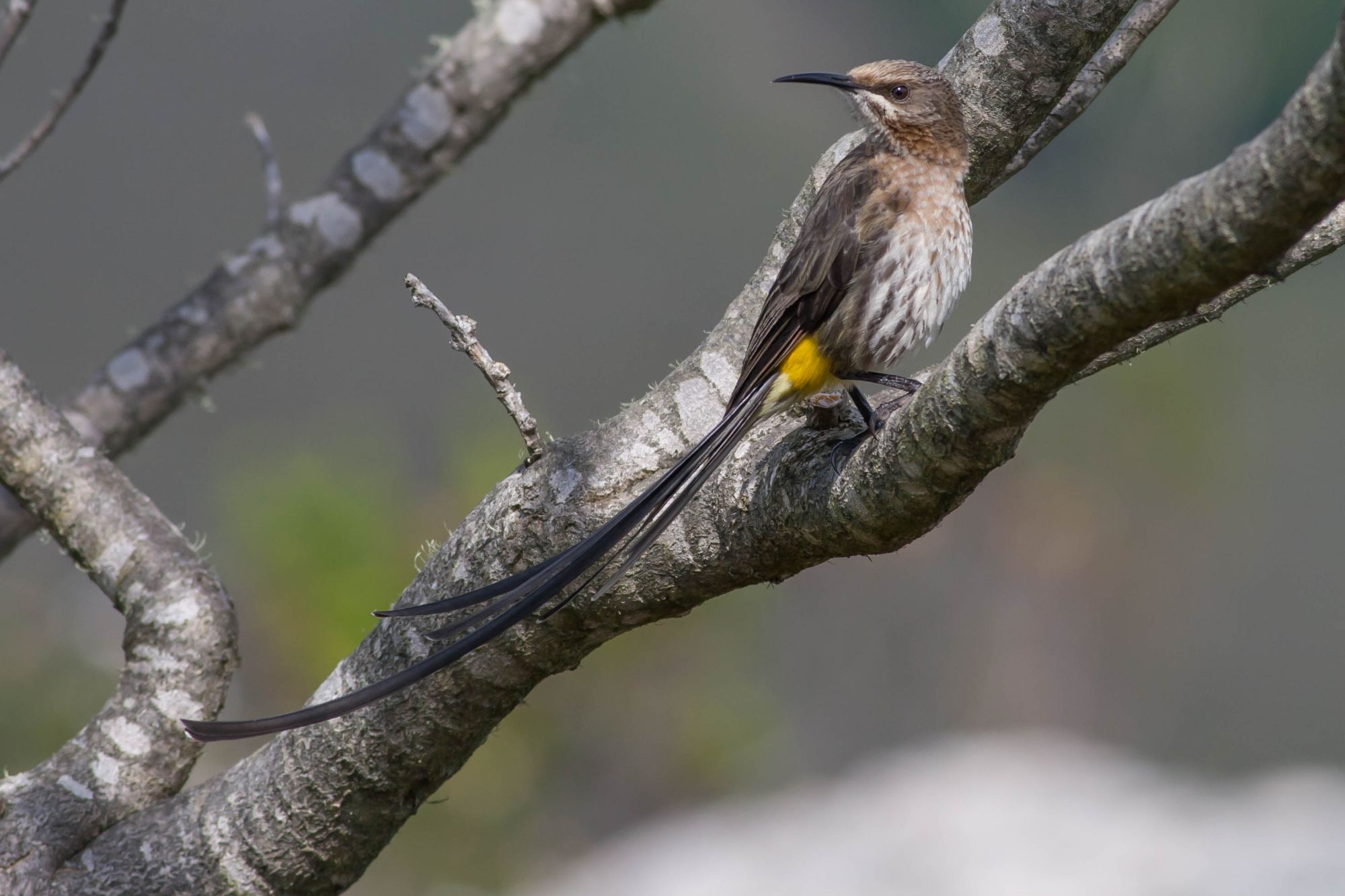 Image related to website content Image related to website content