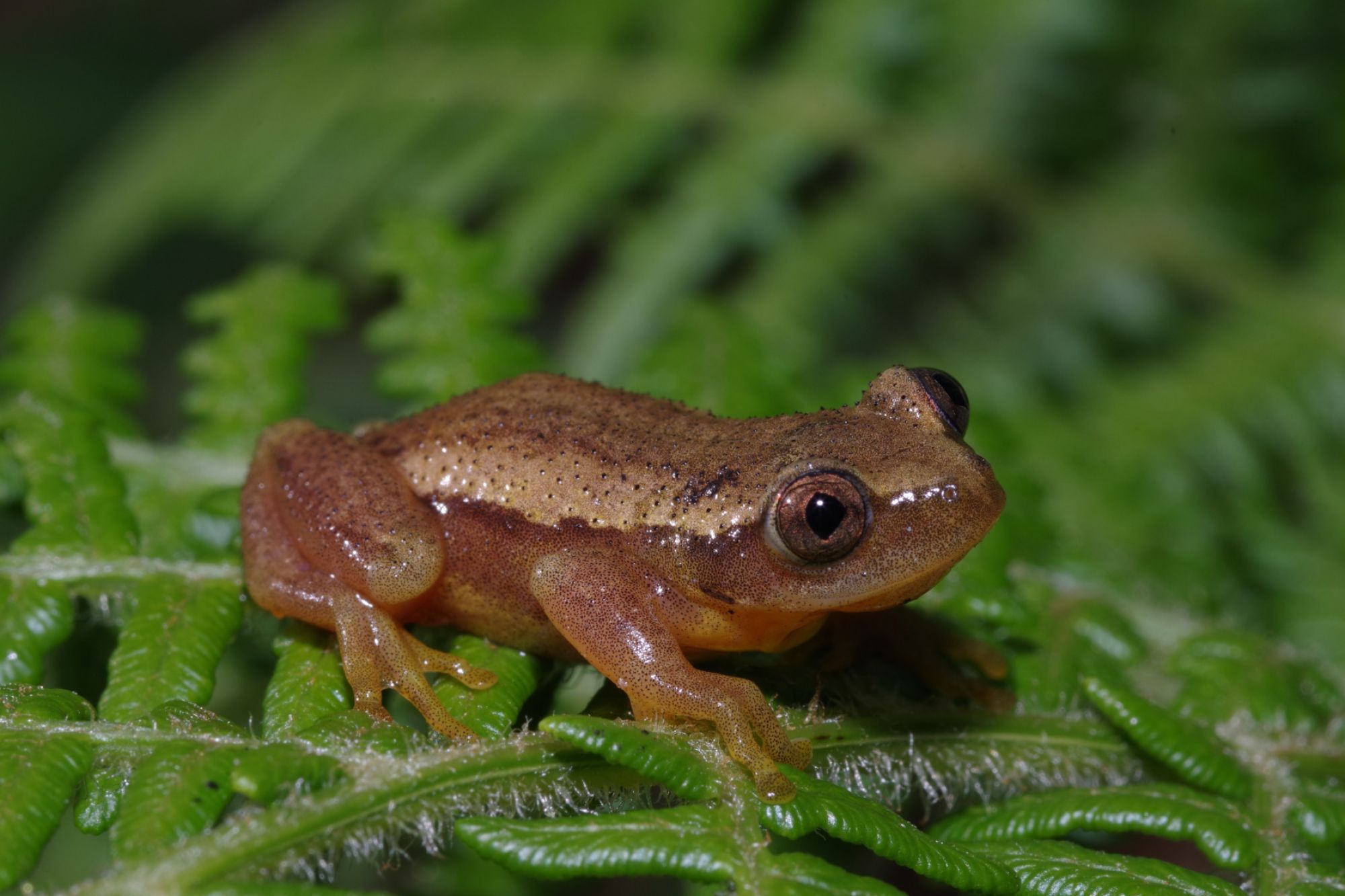 Image related to website content Image related to website content