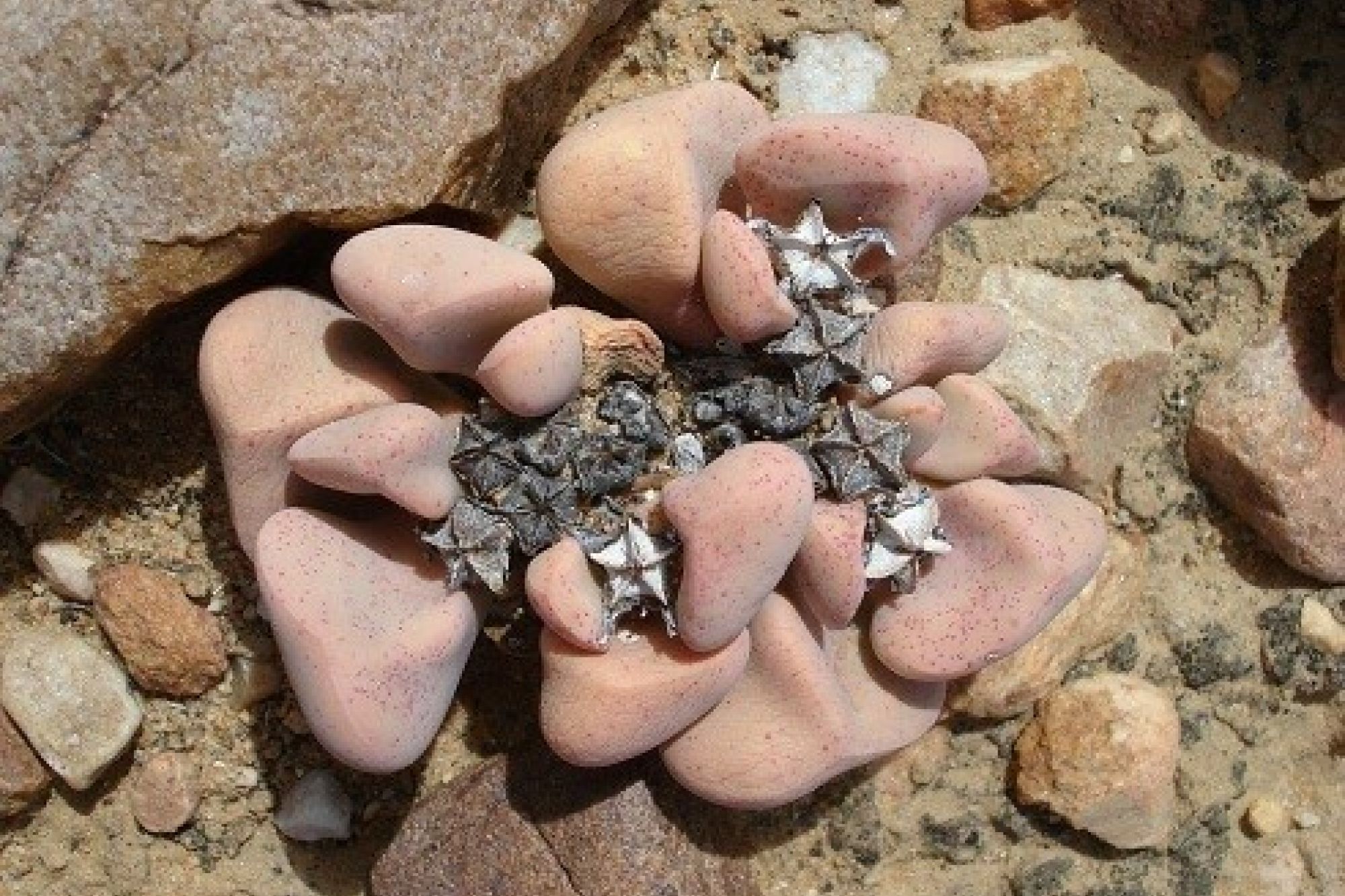 Image related to website content Image related to website content