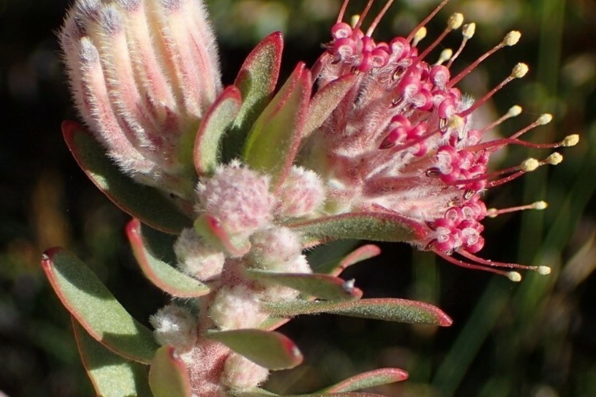 Image related to website content Image related to website content