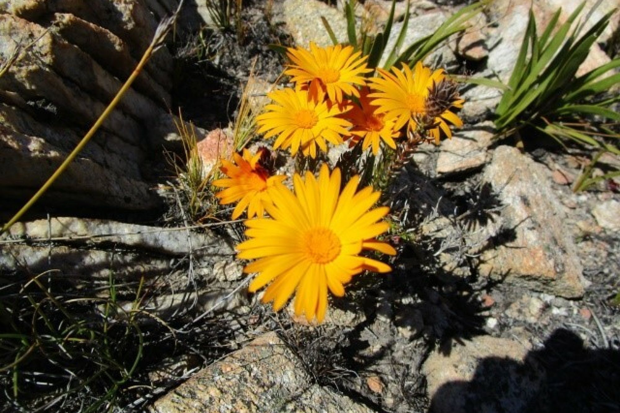 Image related to website content Image related to website content