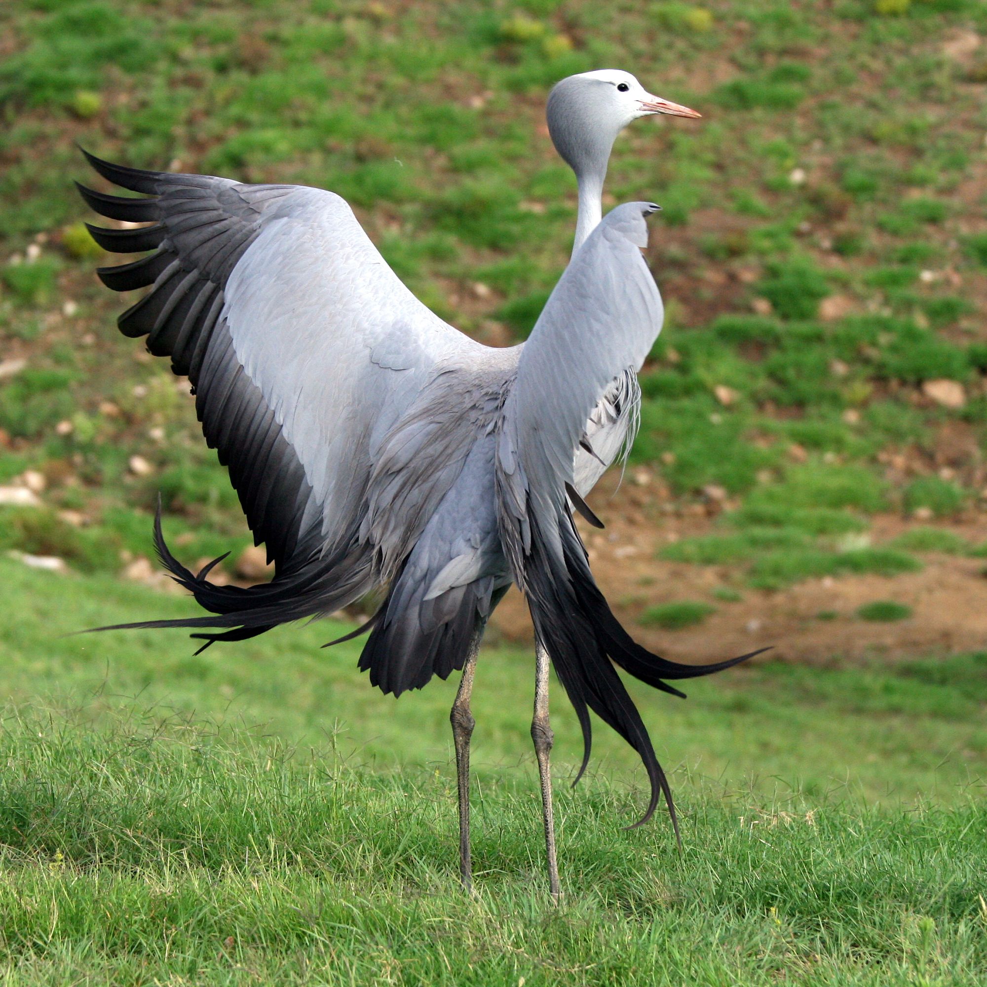 Image related to website content Image related to website content