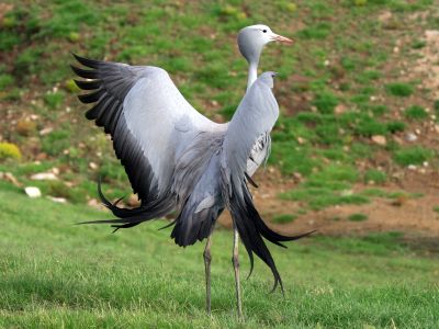 Image related to website content Image related to website content