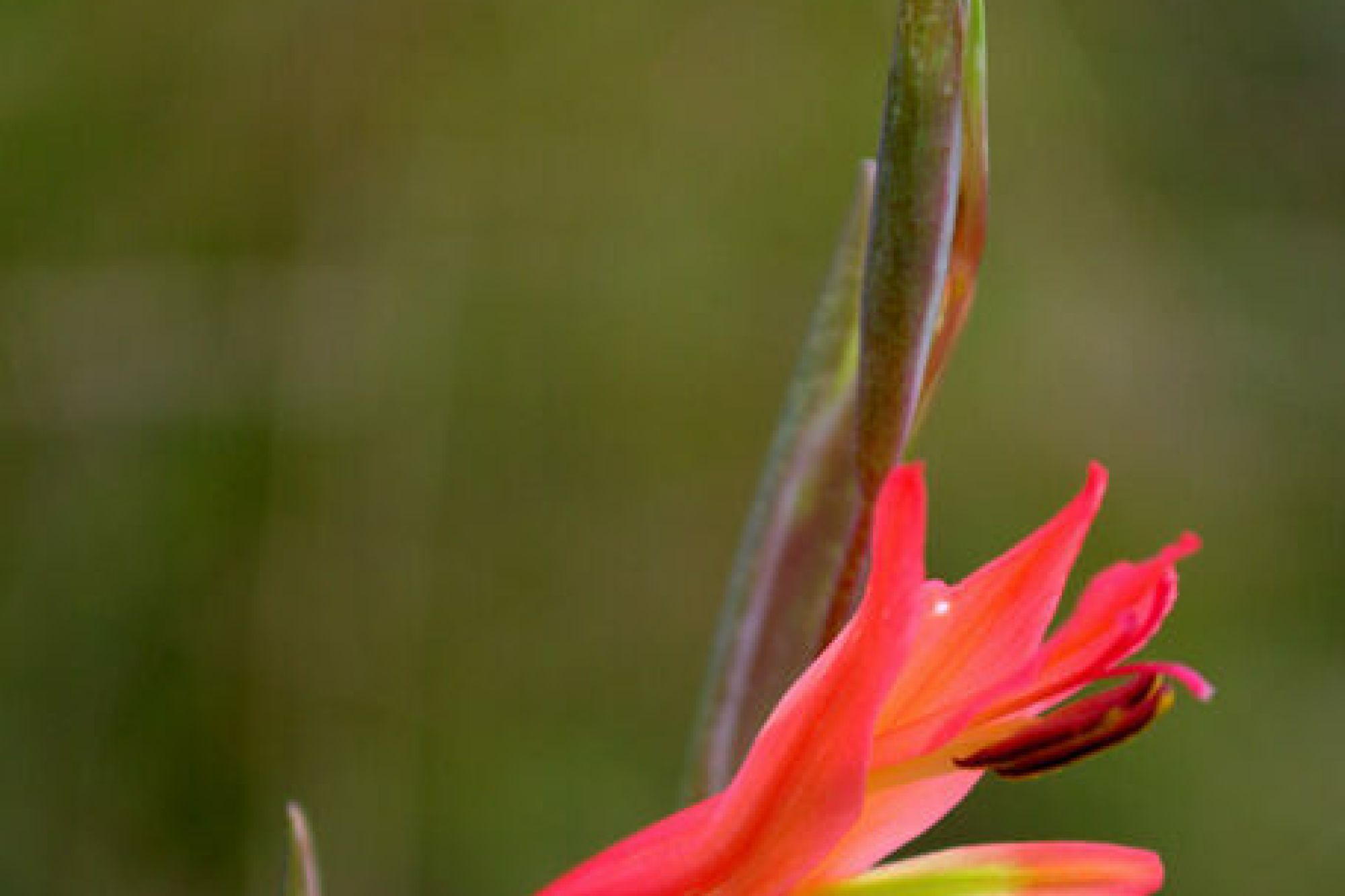 Image related to website content Image related to website content